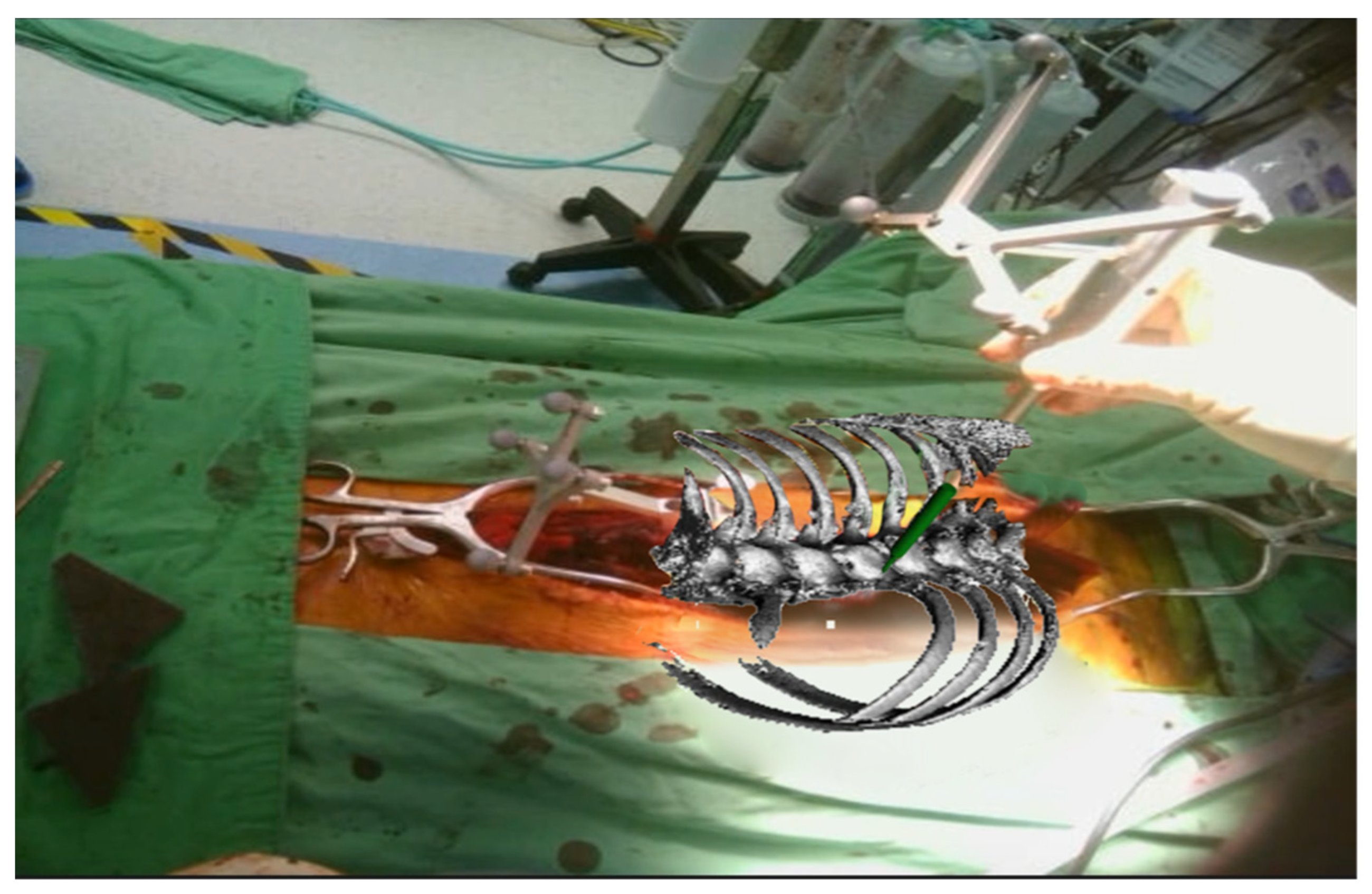 Medicina 61 00576 g002