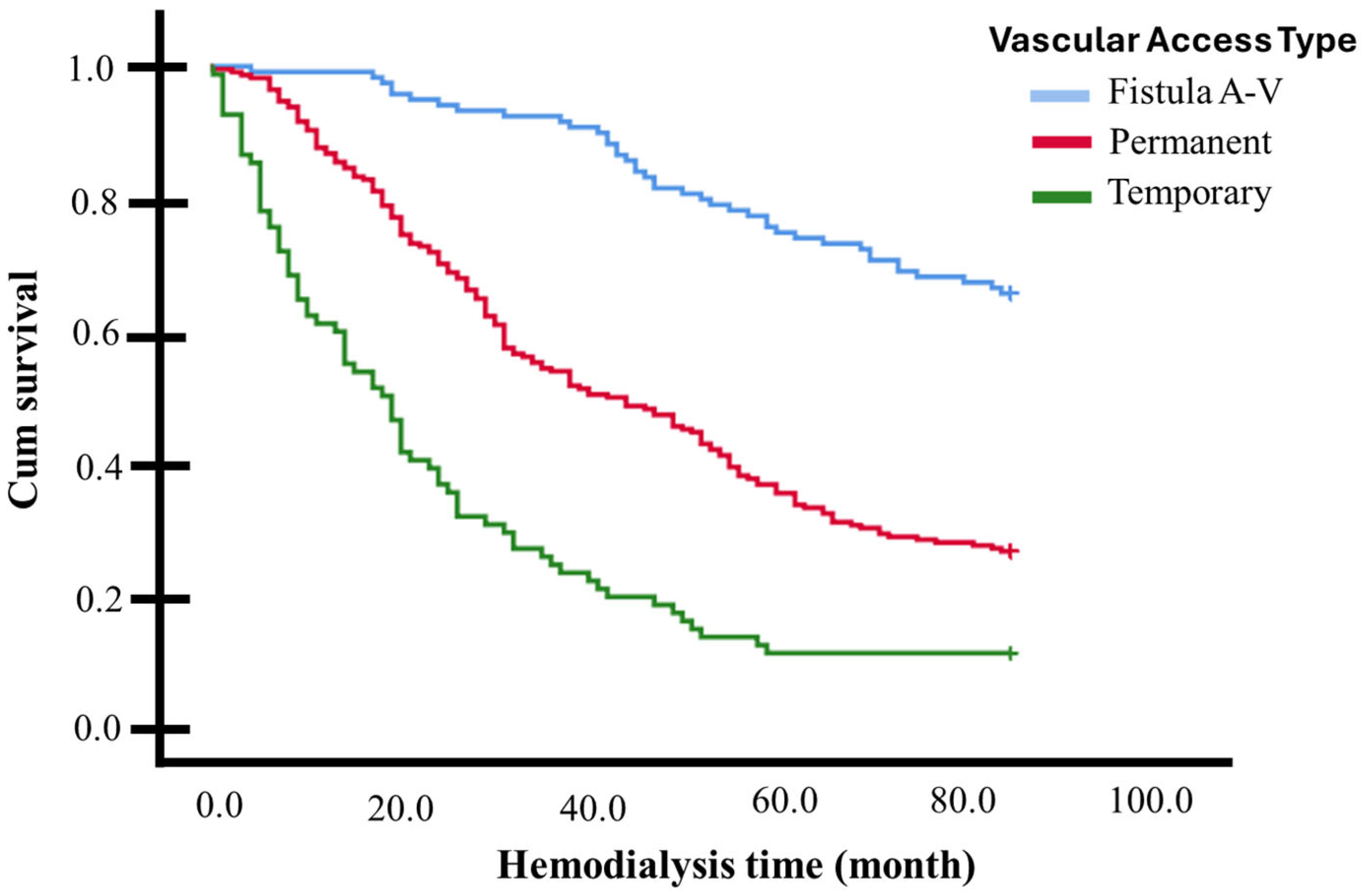 Medicina 61 00584 g002