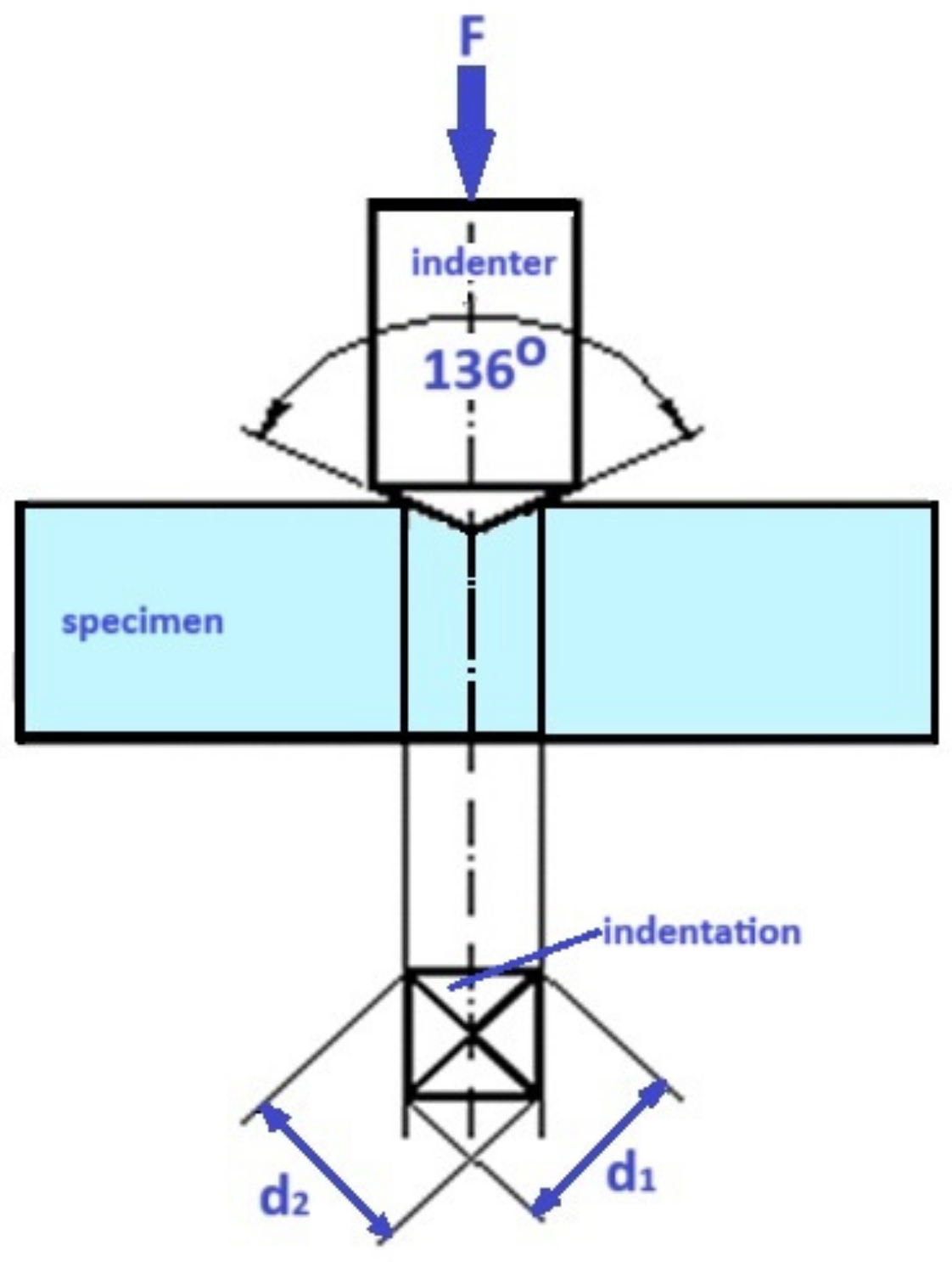 Medicina 61 00590 g002