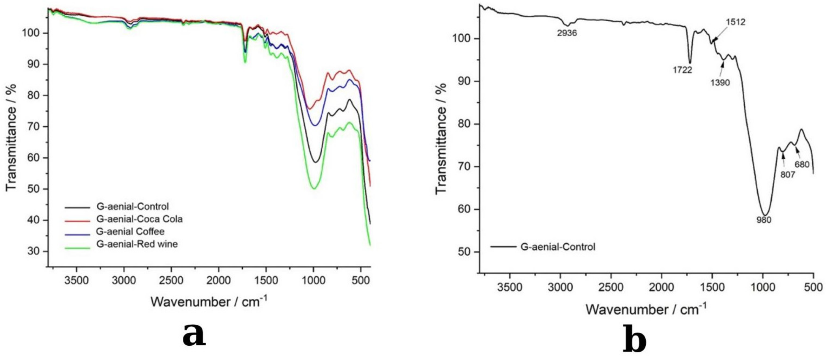 Medicina 61 00590 g009