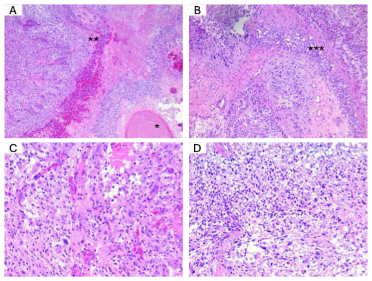 Medicina 61 00697 g002