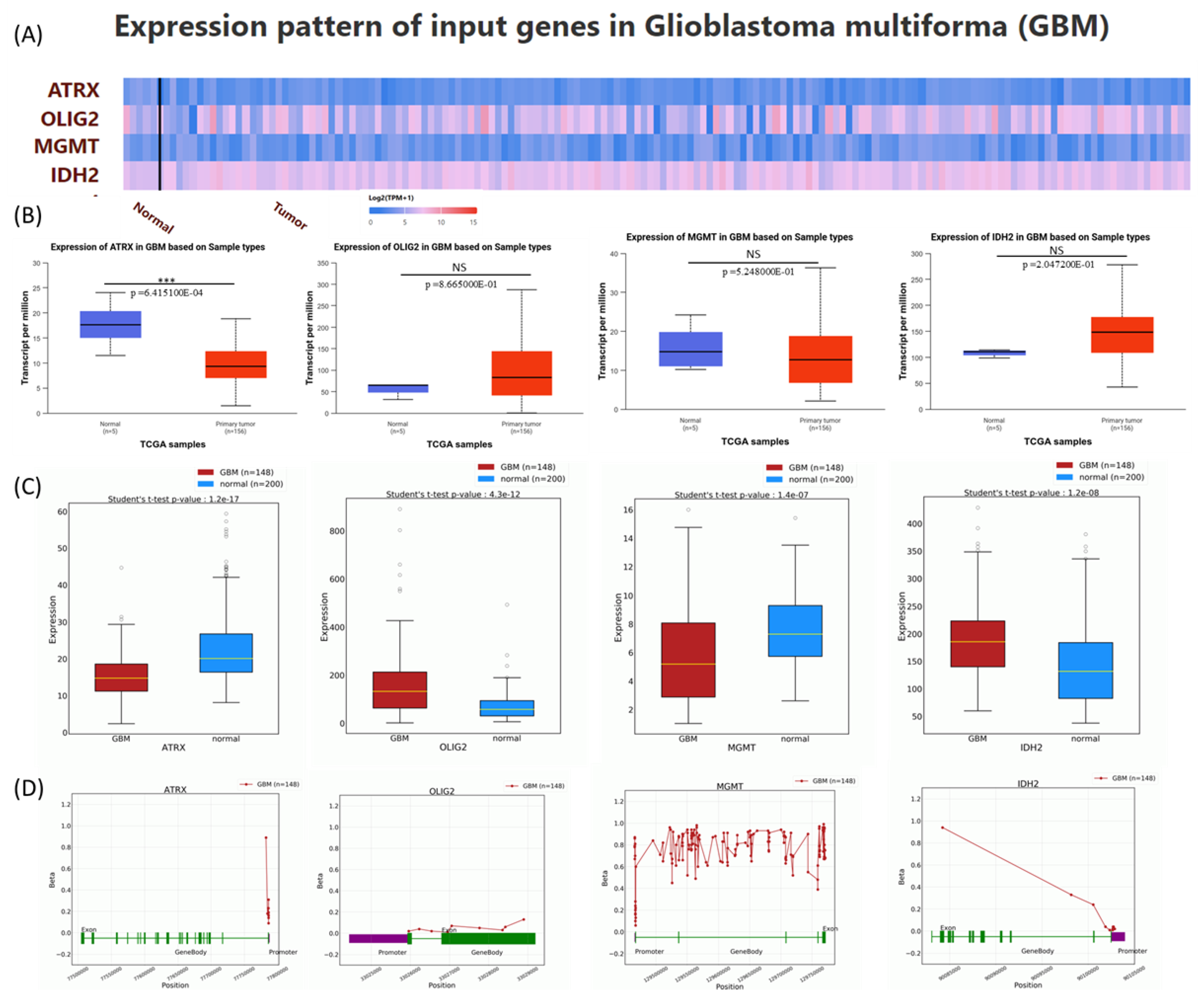 Medicina 61 00697 g003