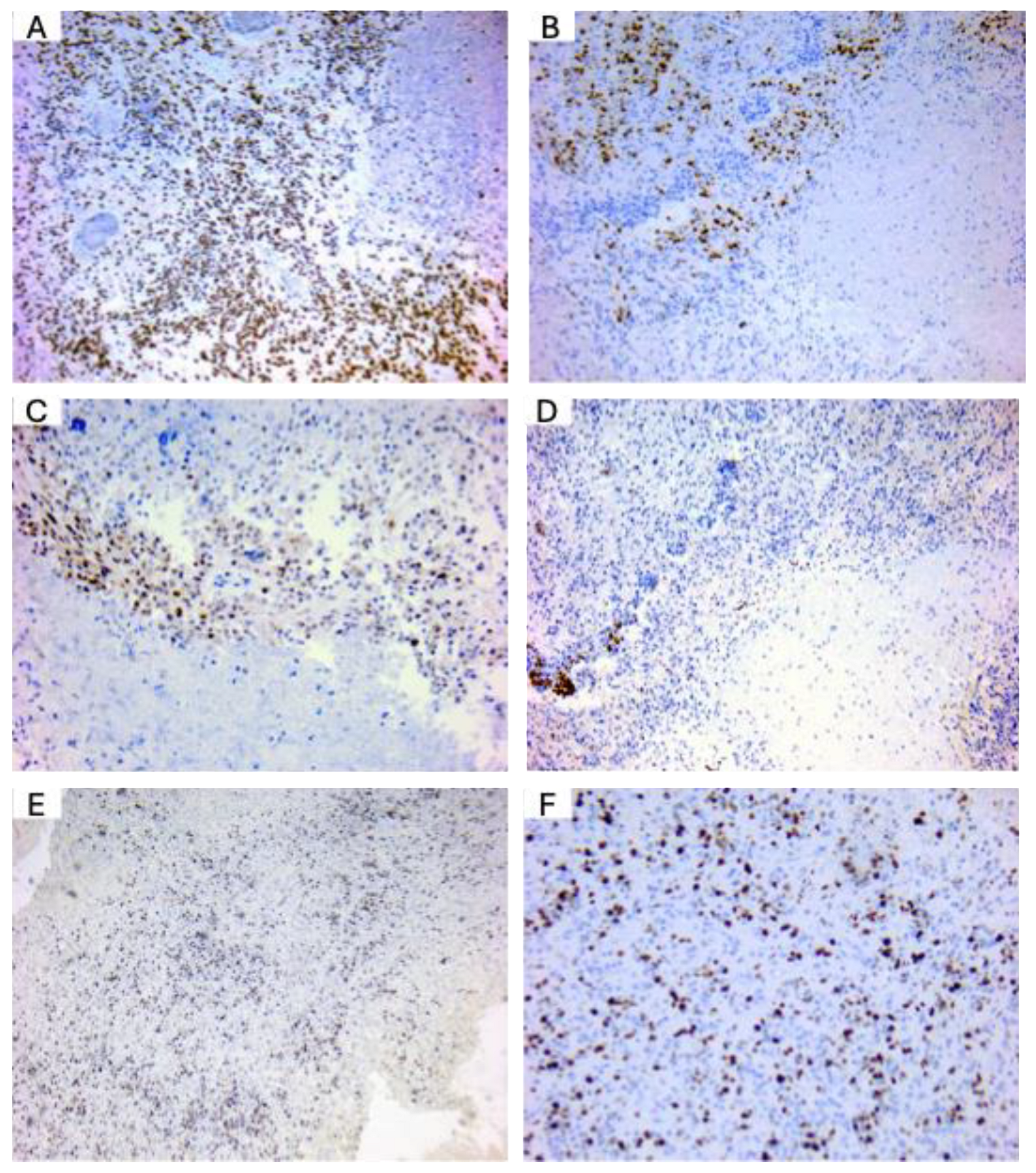Medicina 61 00697 g005