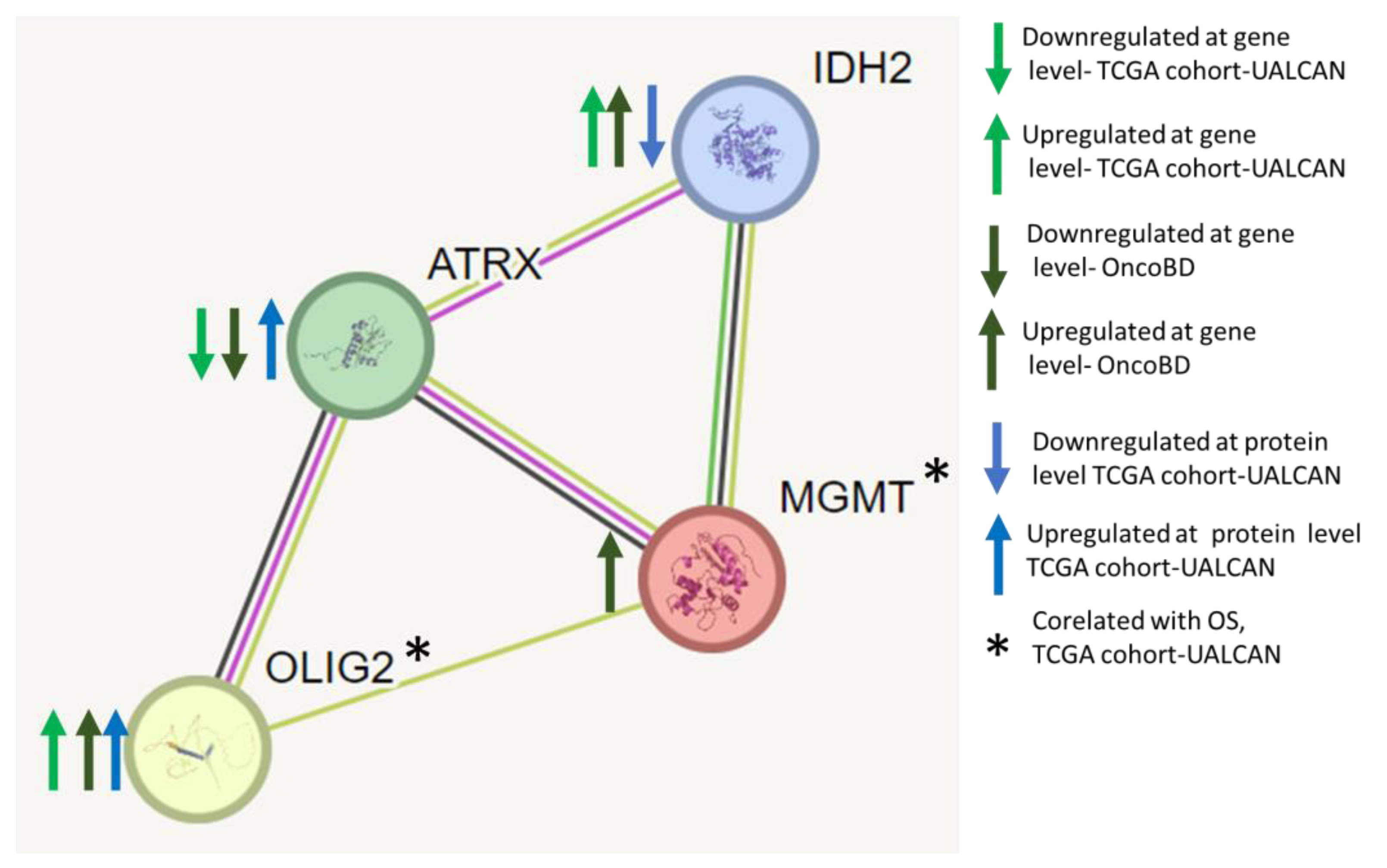 Medicina 61 00697 g007