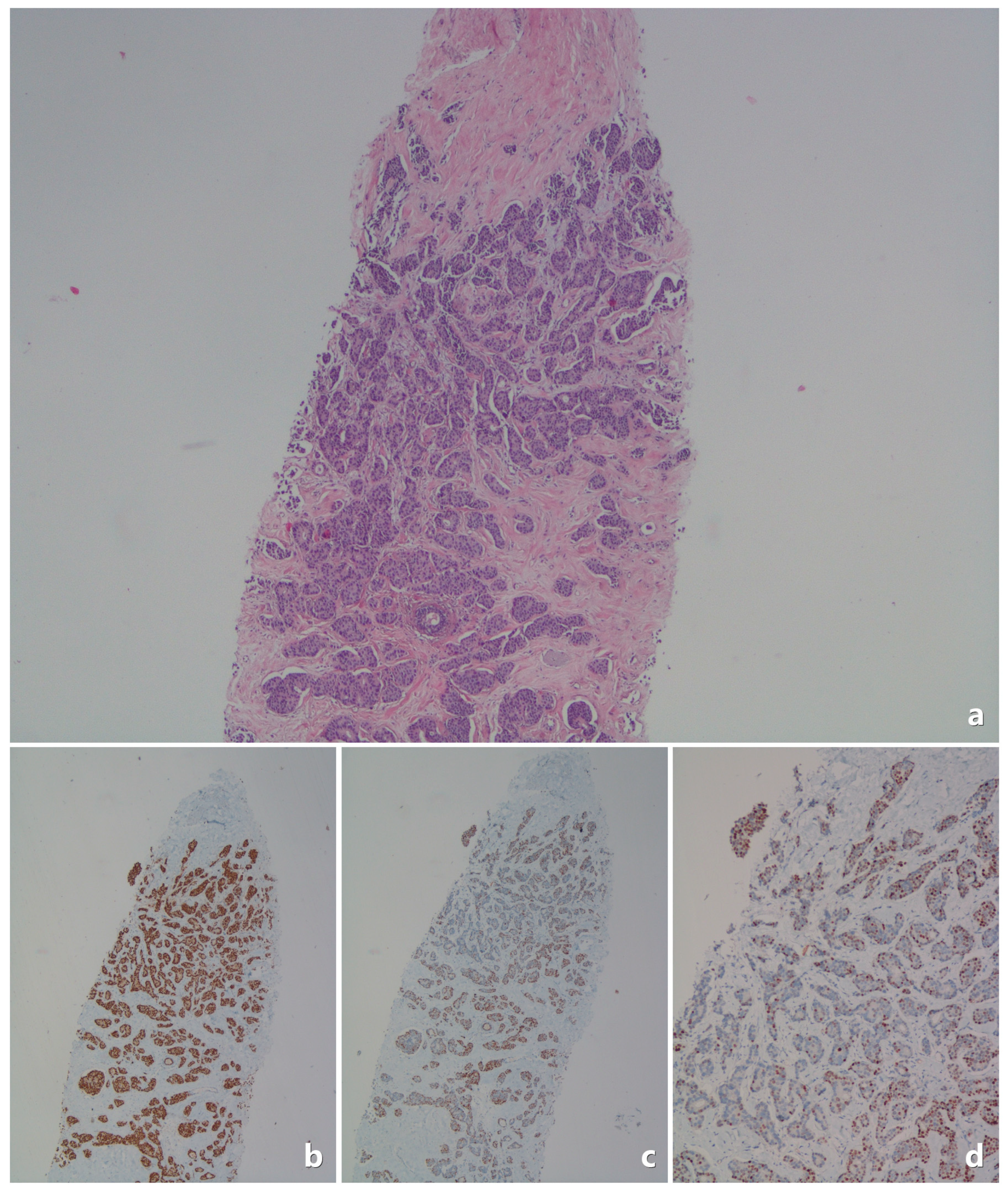 Medicina 61 00710 g003