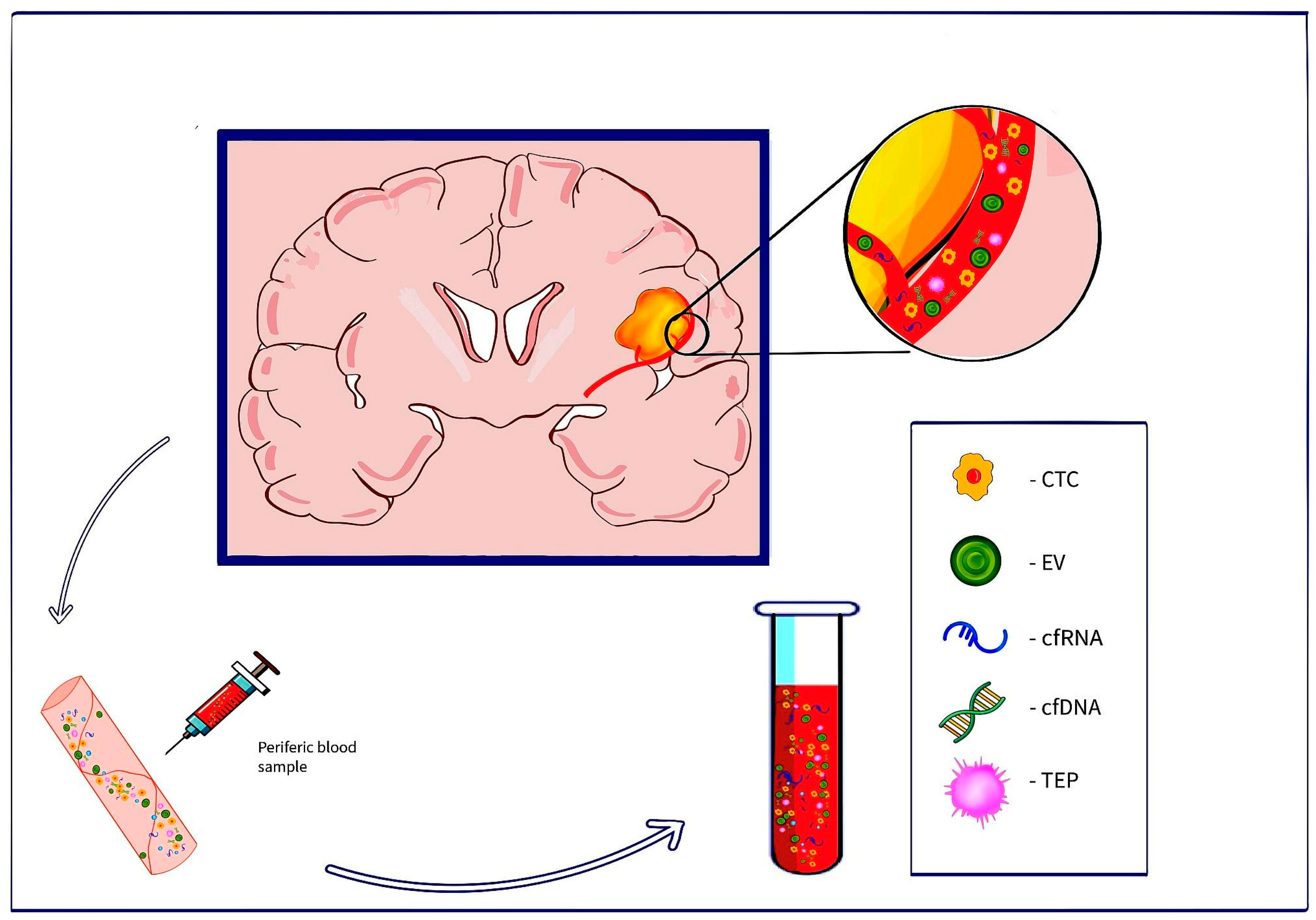 Medicina 61 00716 g001