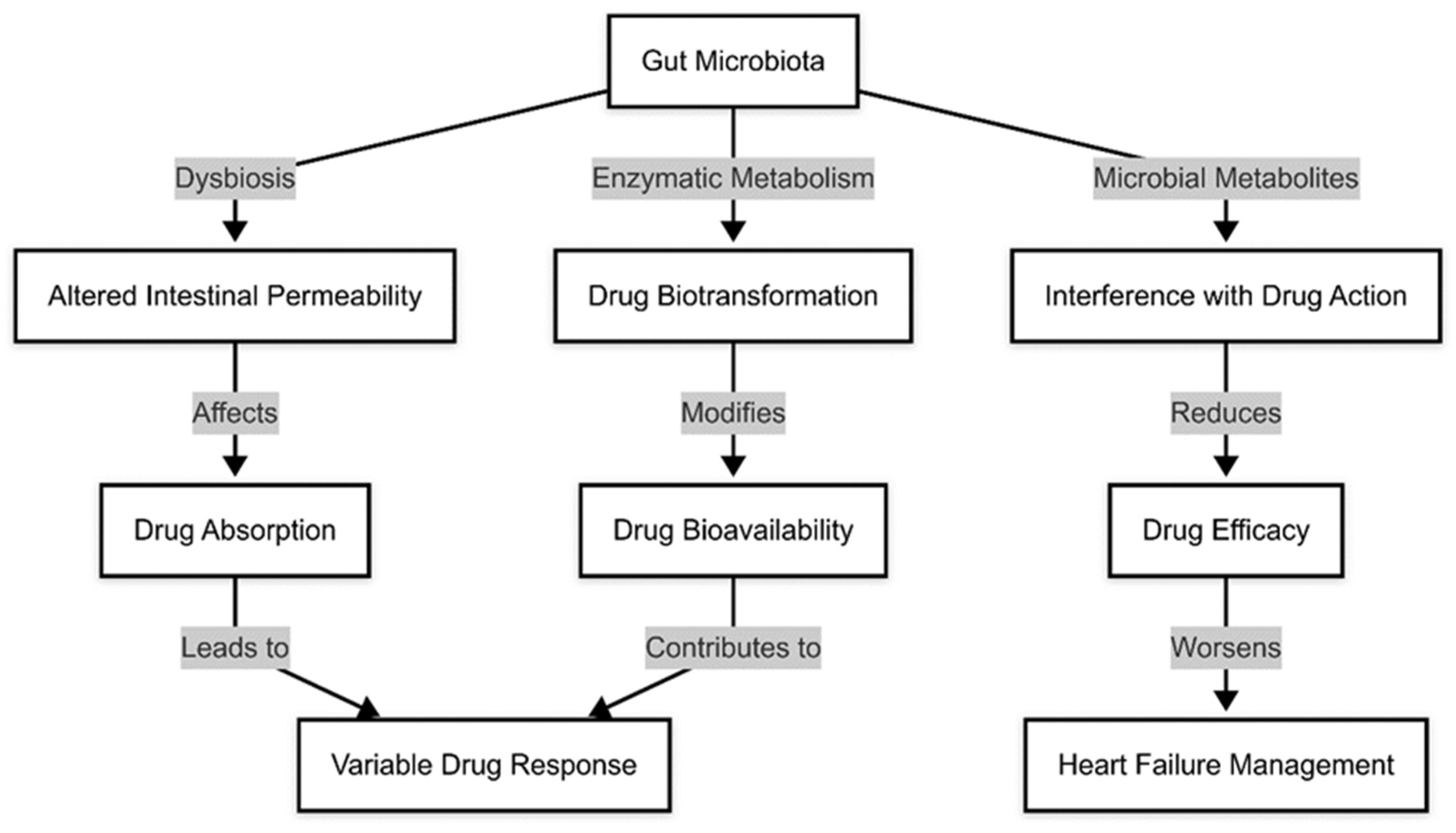 Medicina 61 00720 g004
