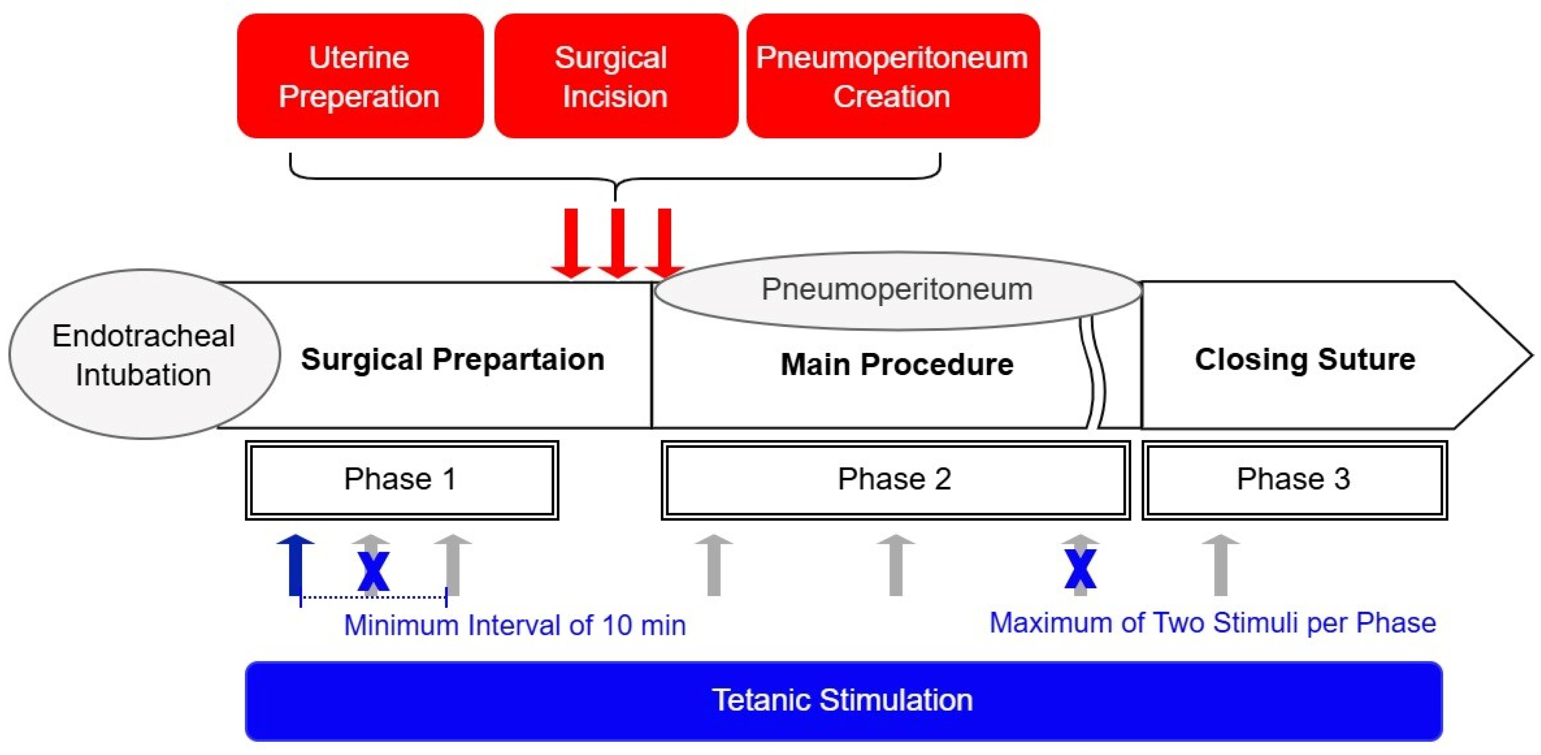 Medicina 61 00742 g001