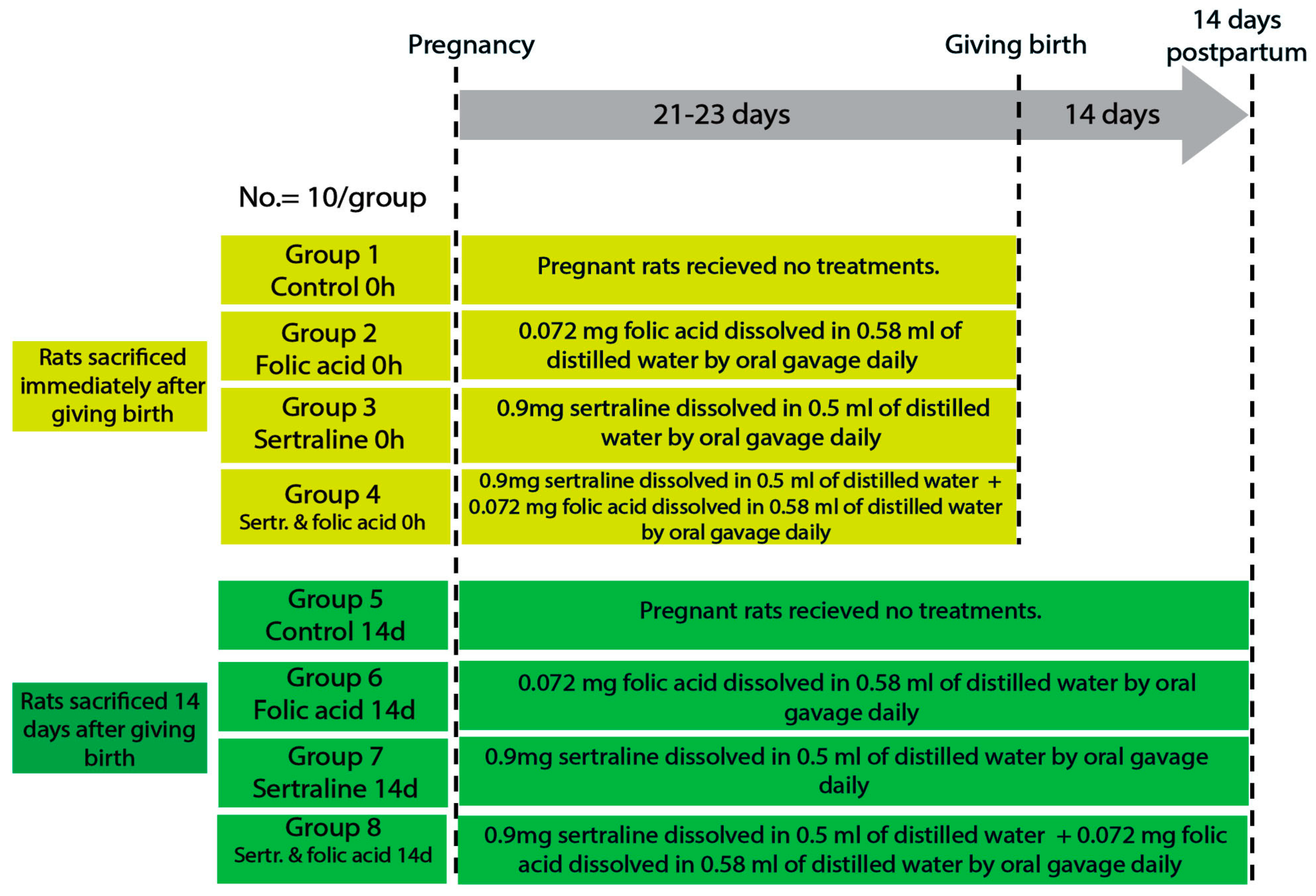 Medicina 61 00751 g001
