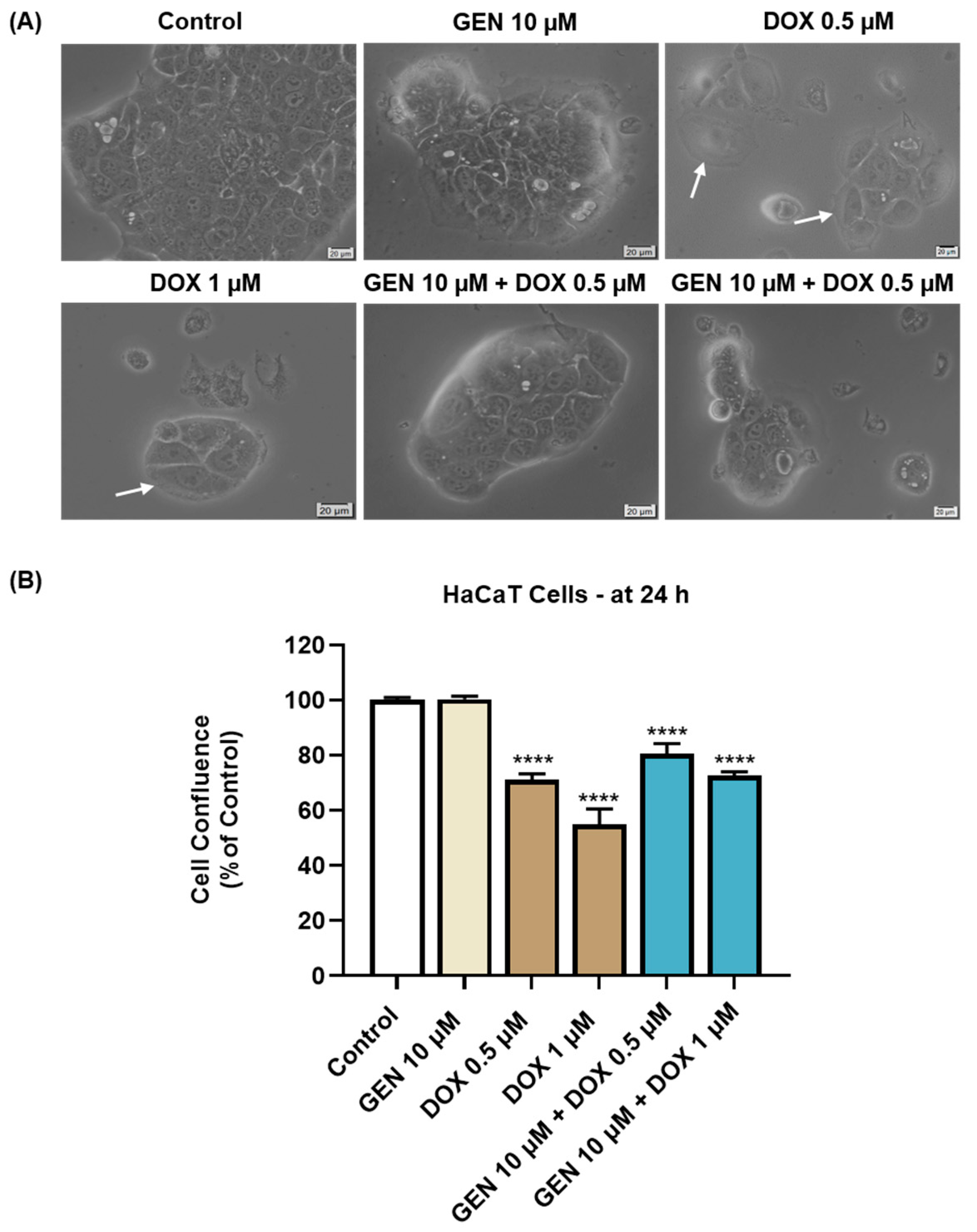Medicina 61 00798 g004