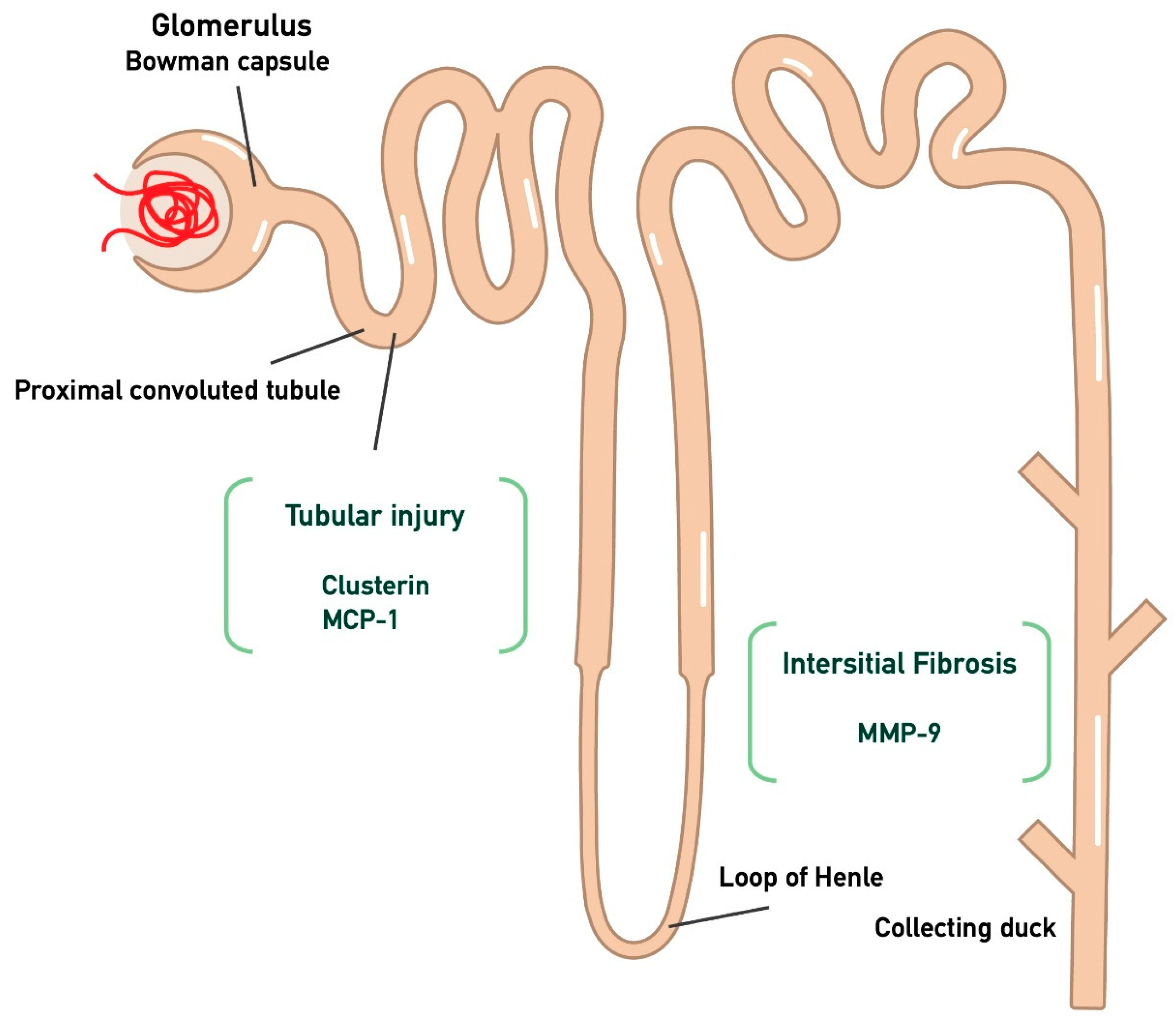 Medicina 61 00807 g001 Medicina 61 00807 g001