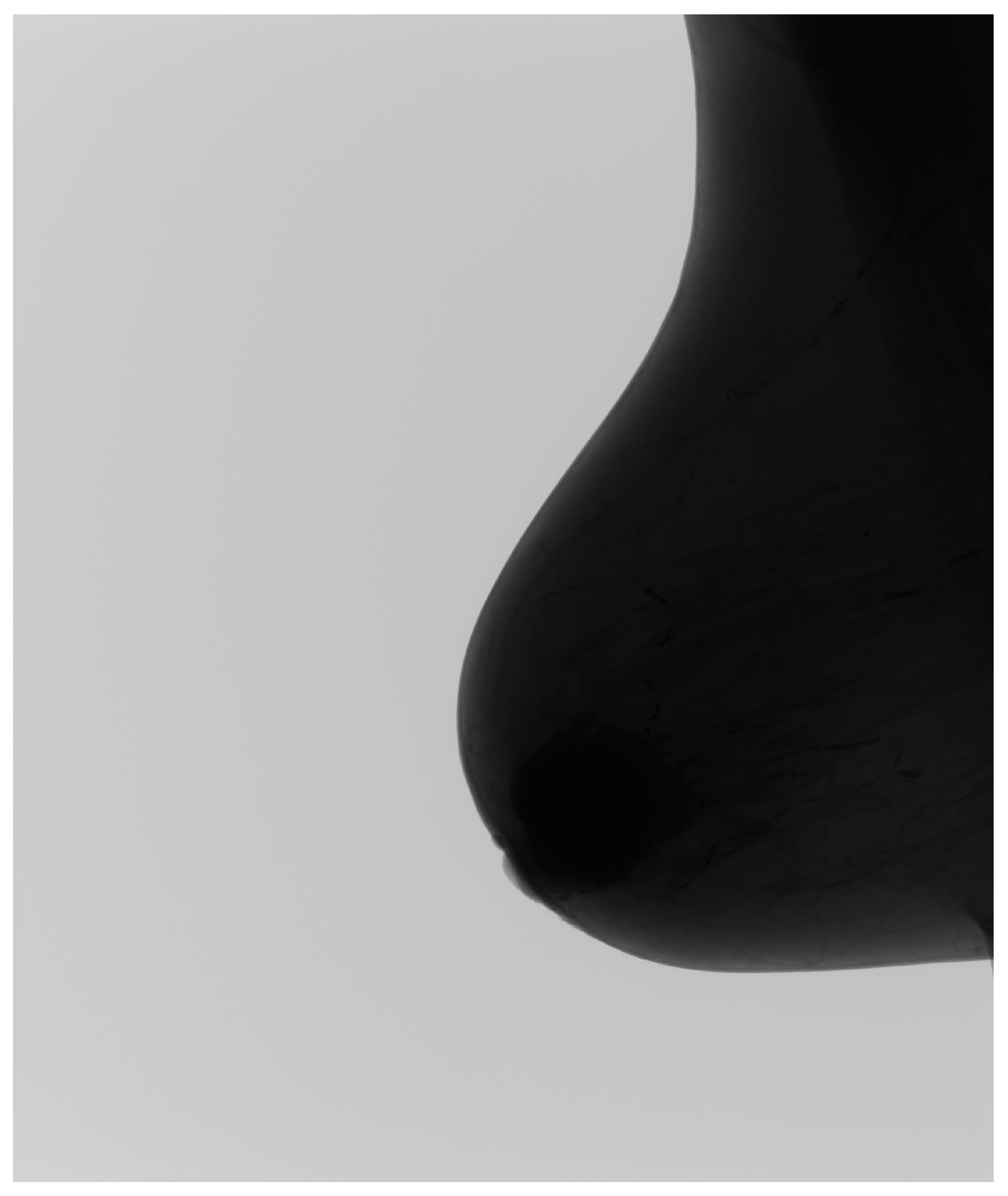 Medicina 61 00809 g002