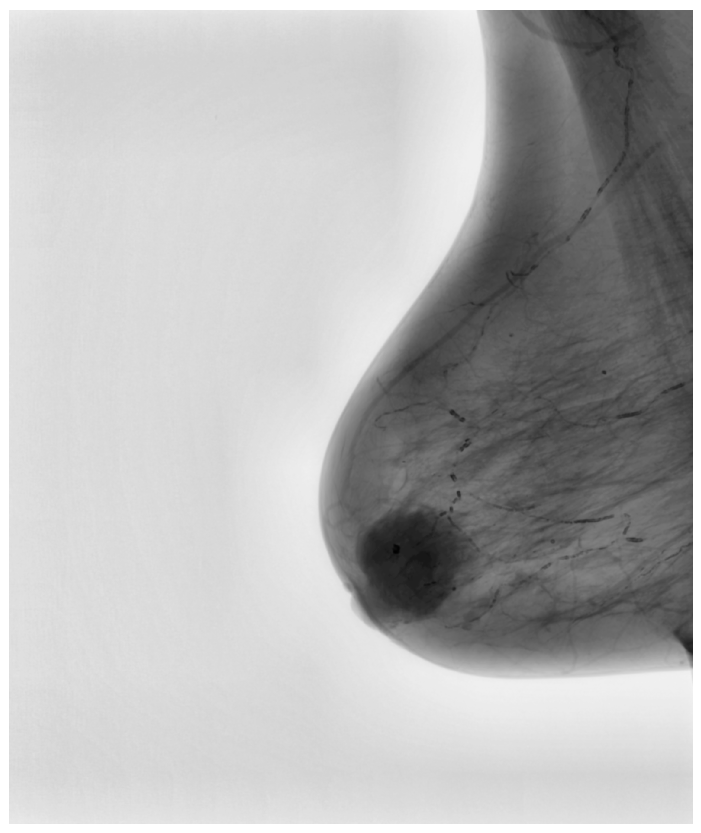 Medicina 61 00809 g004