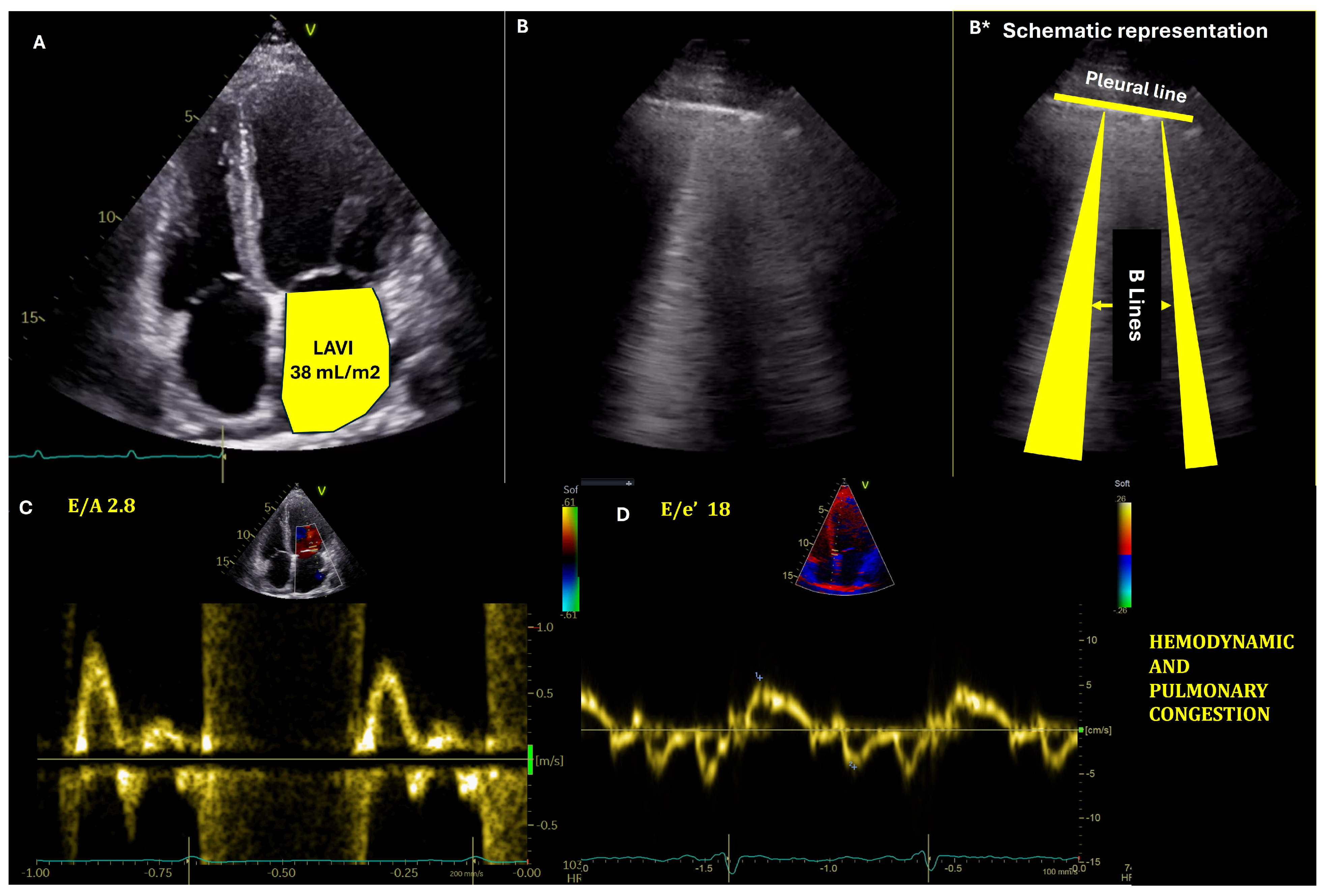 Medicina 61 00816 g001