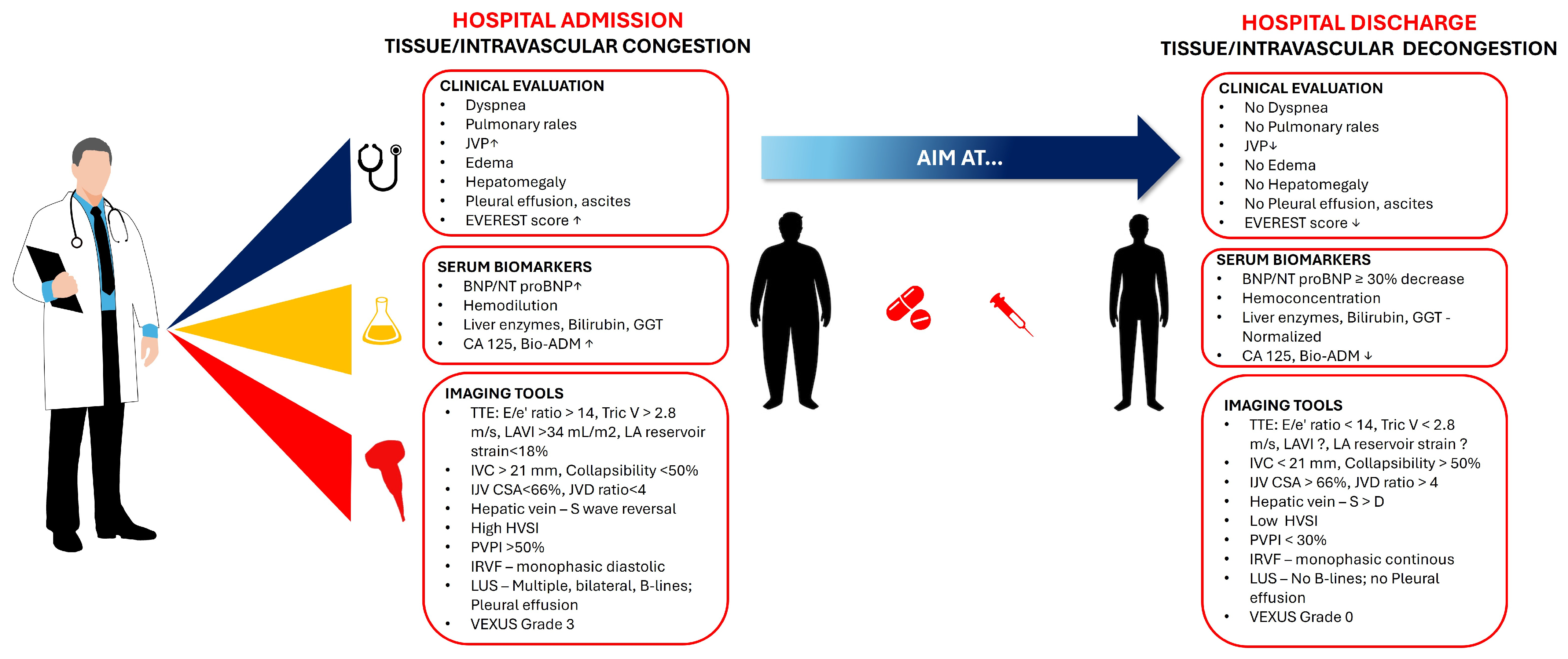 Medicina 61 00816 g004
