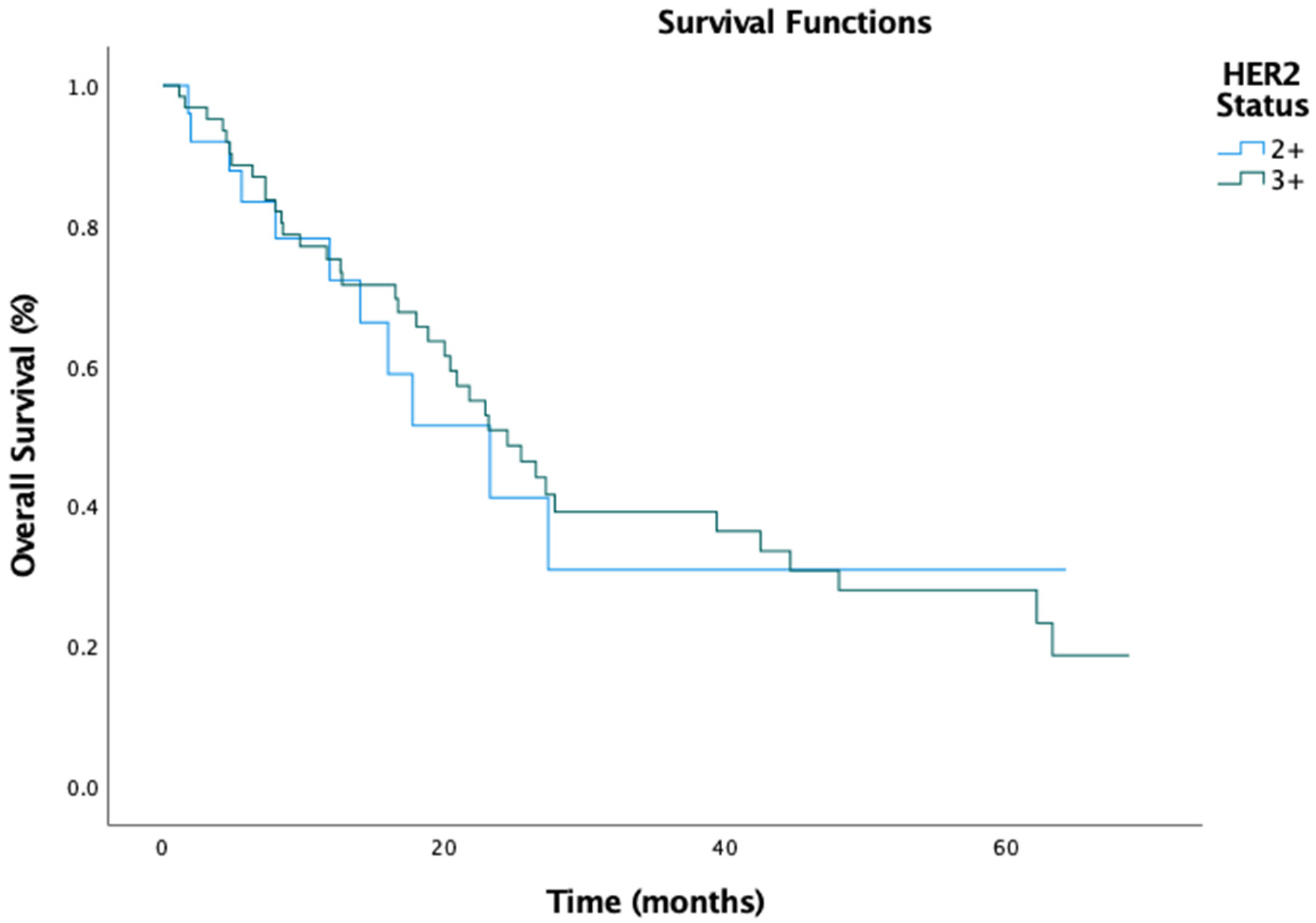 Medicina 61 00819 g002
