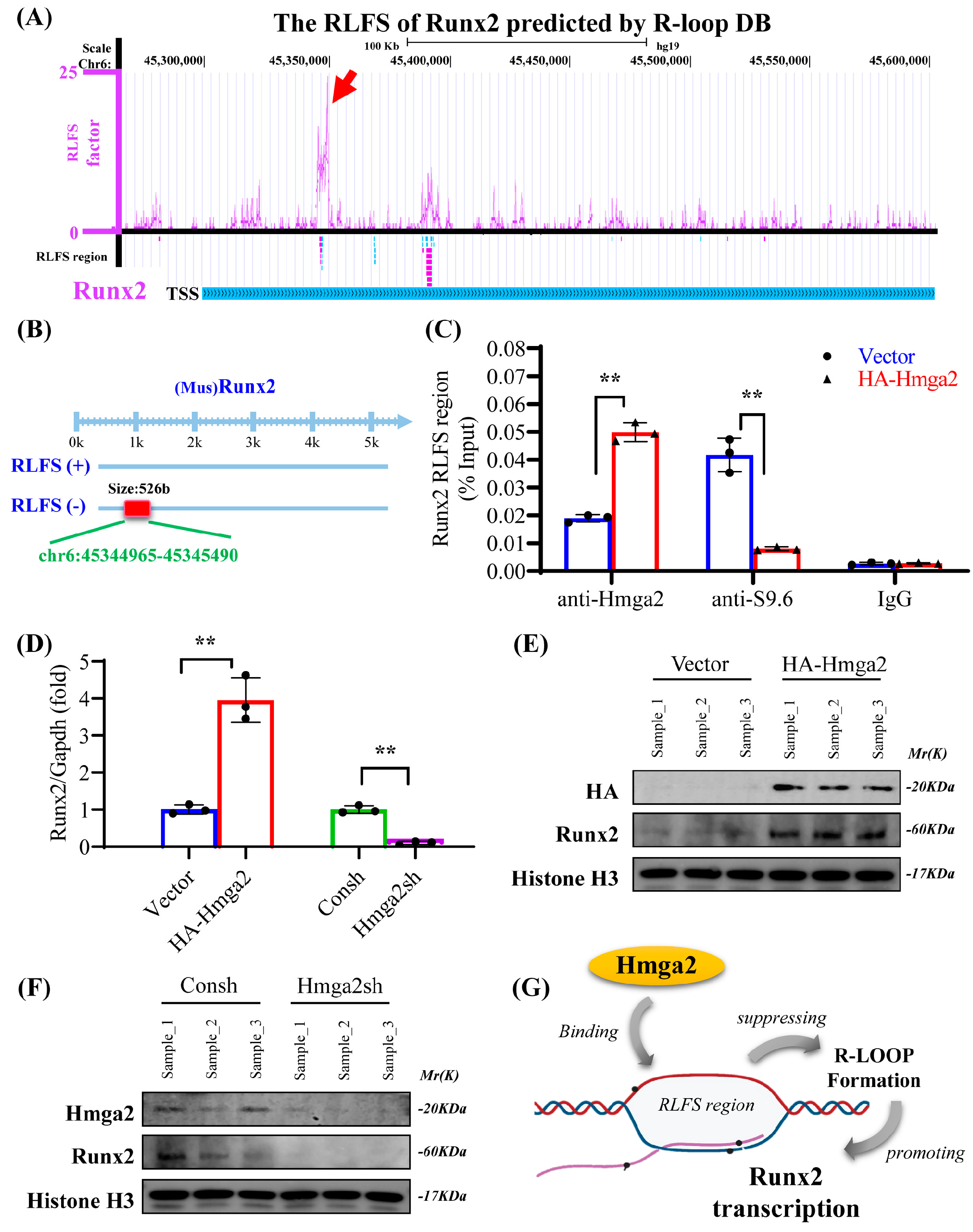 Medicina 61 00820 g004
