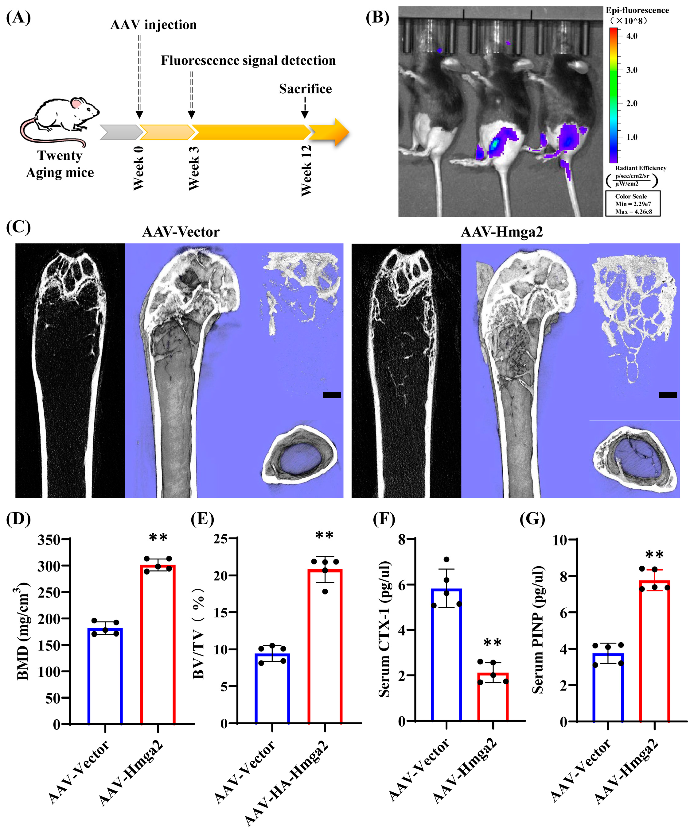 Medicina 61 00820 g005