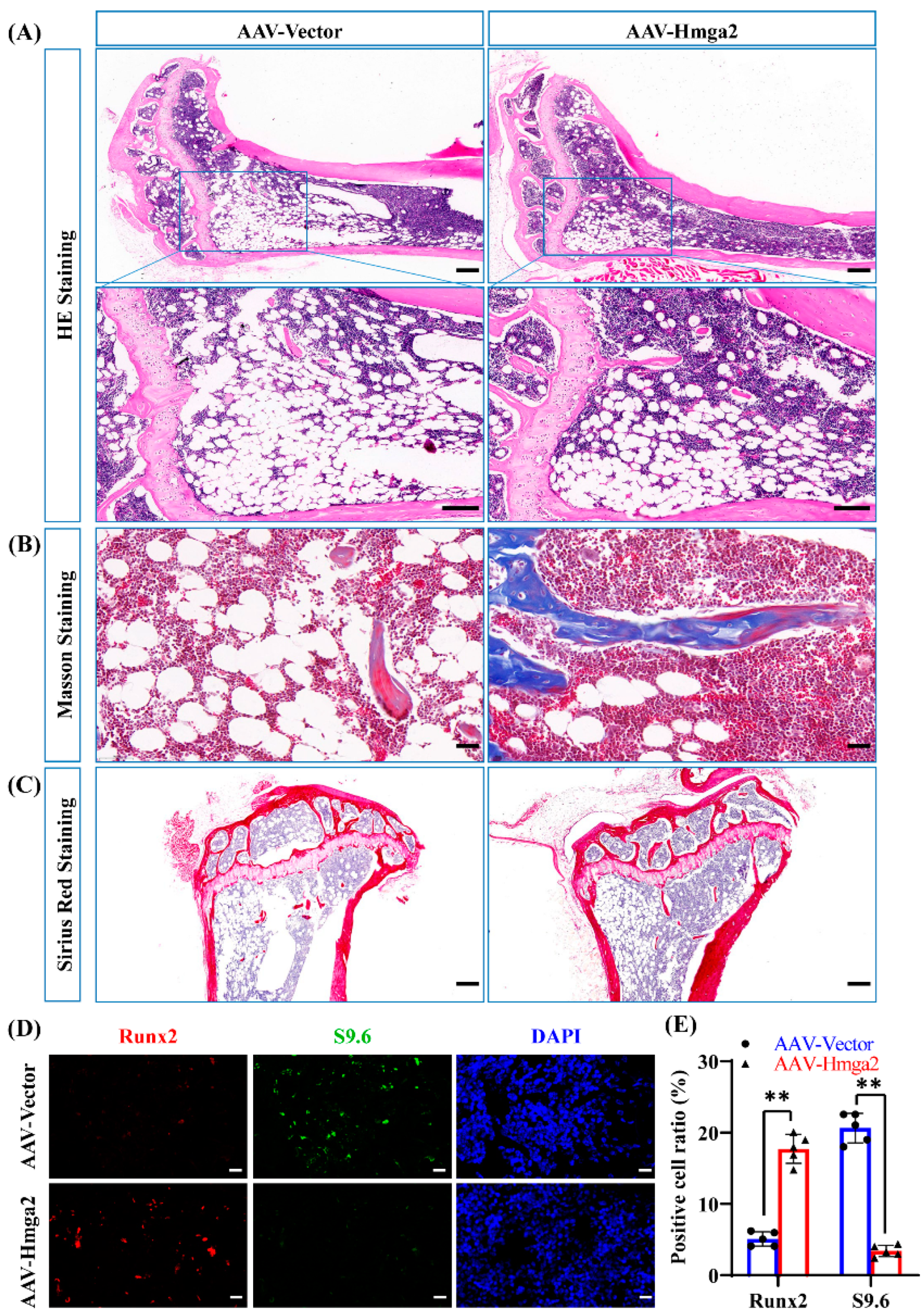 Medicina 61 00820 g006