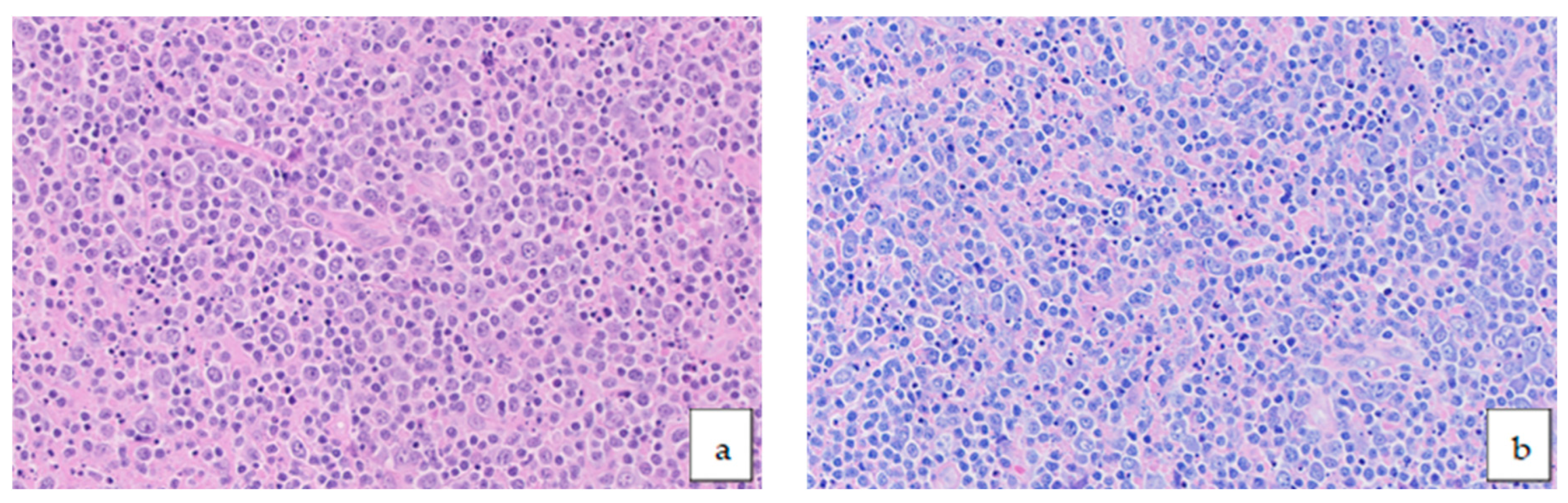 Medicina 61 00842 g002