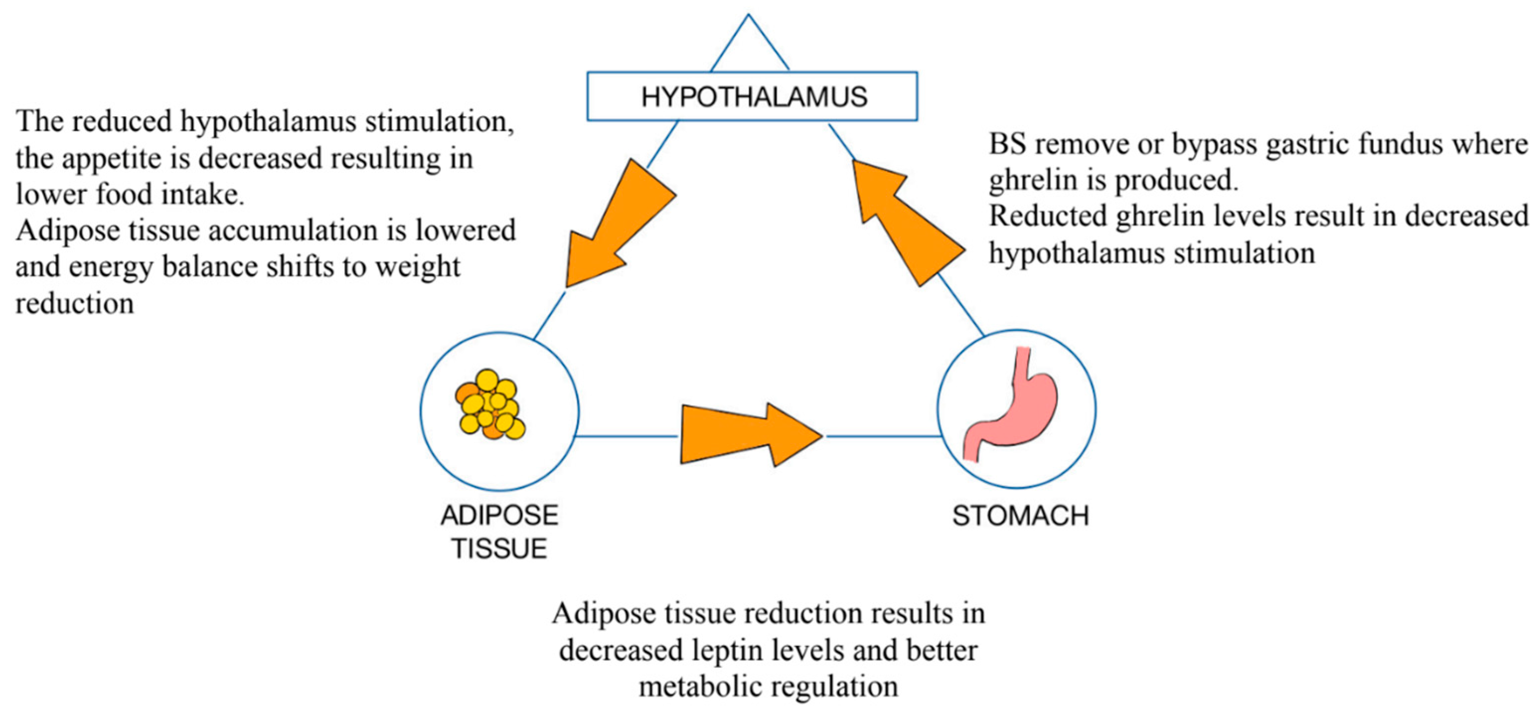 Medicina 61 00849 g003