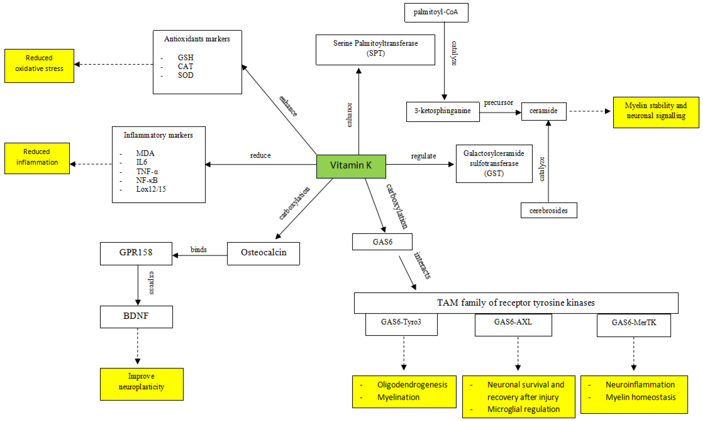 Medicina 61 00861 g002