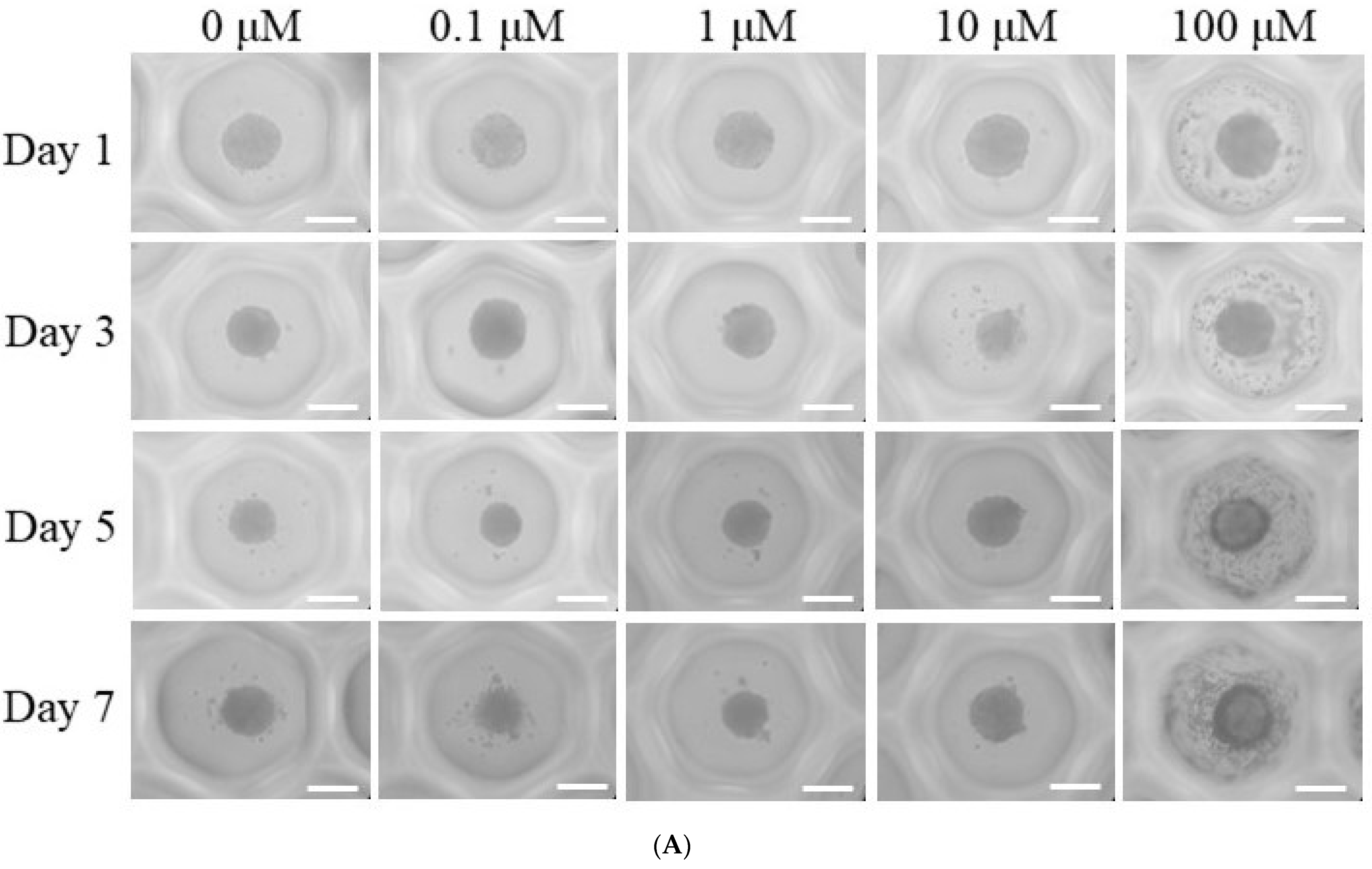 Medicina 61 00871 g001a