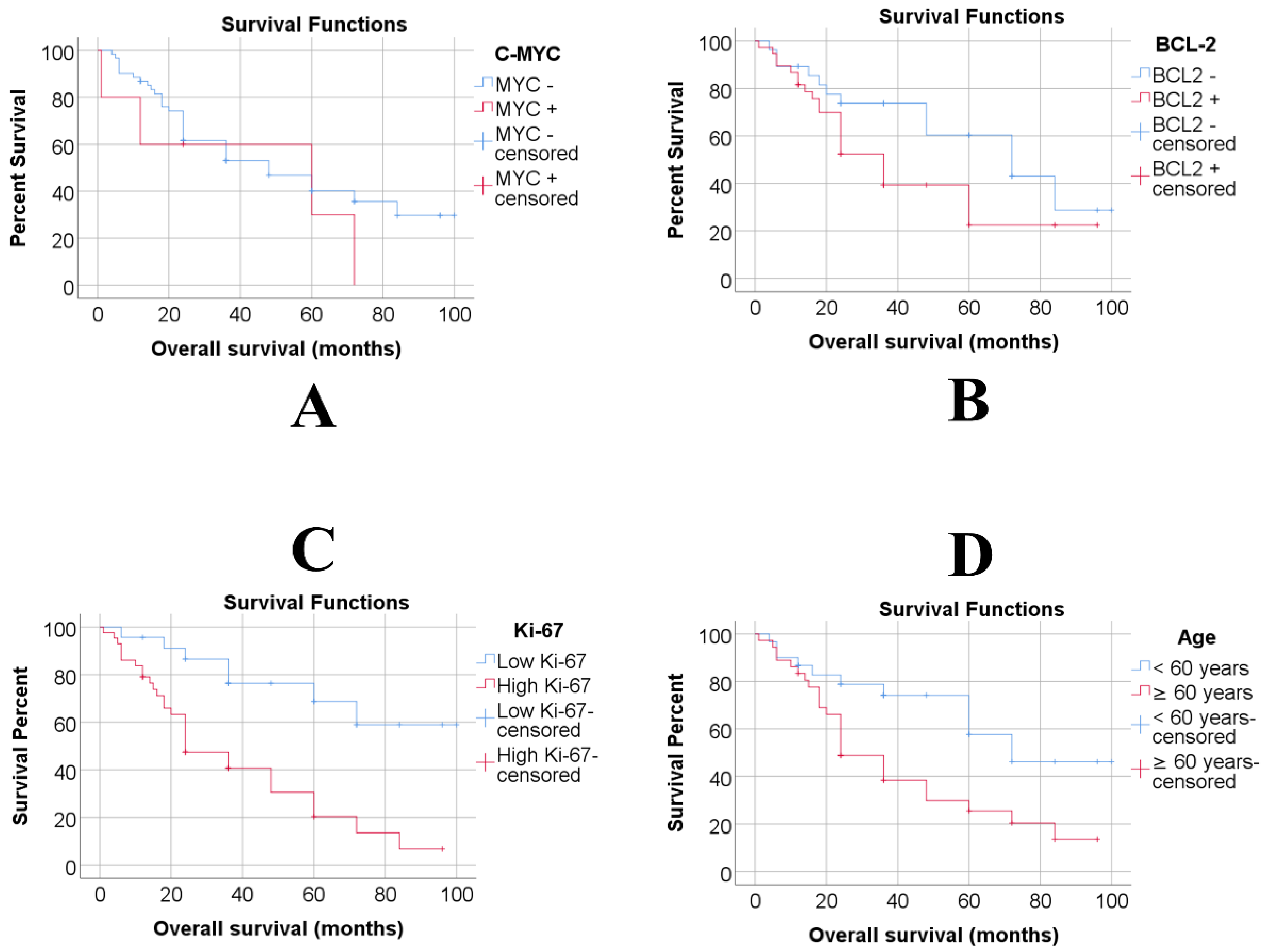 Medicina 61 00948 g001