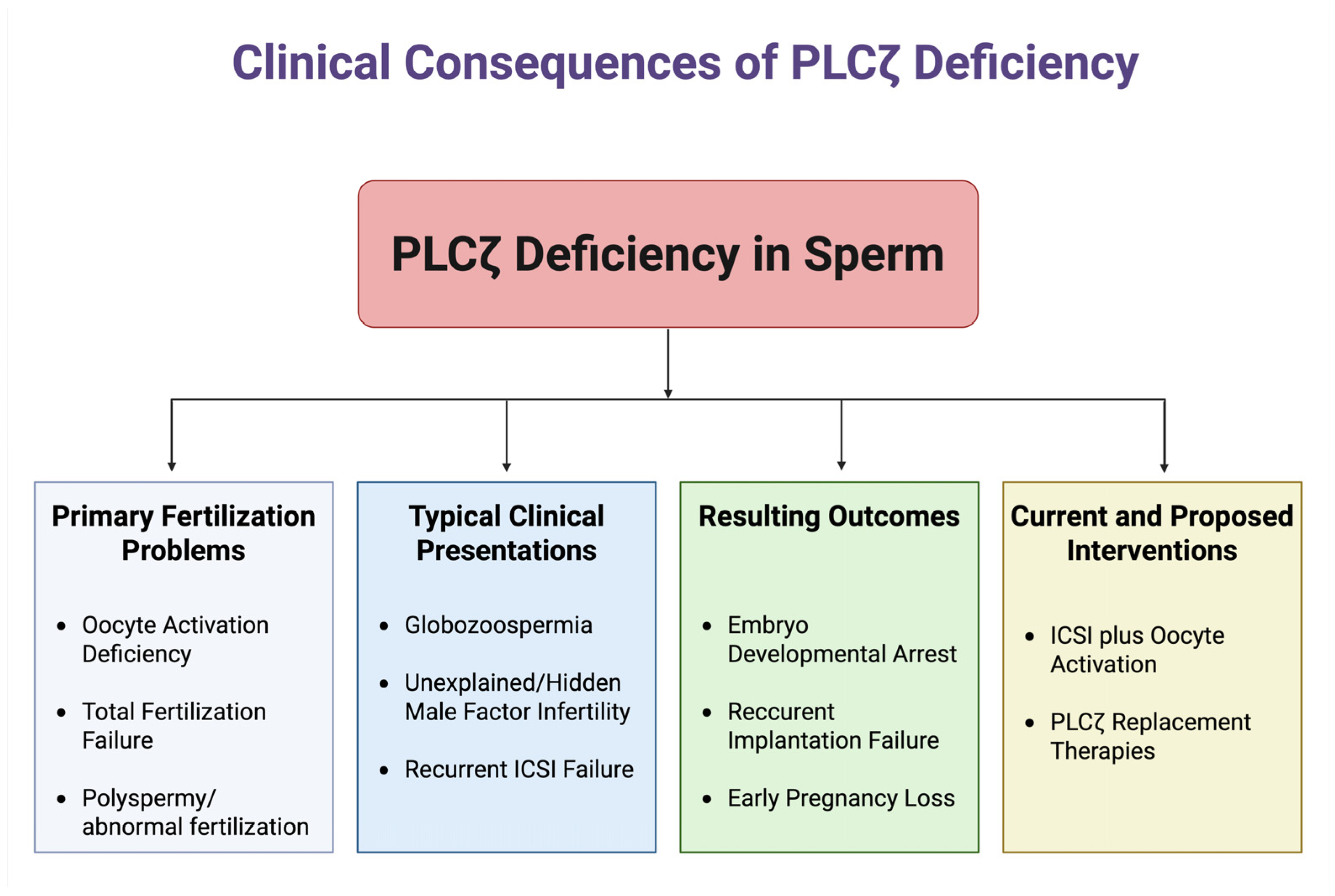 Medicina 61 00963 g002