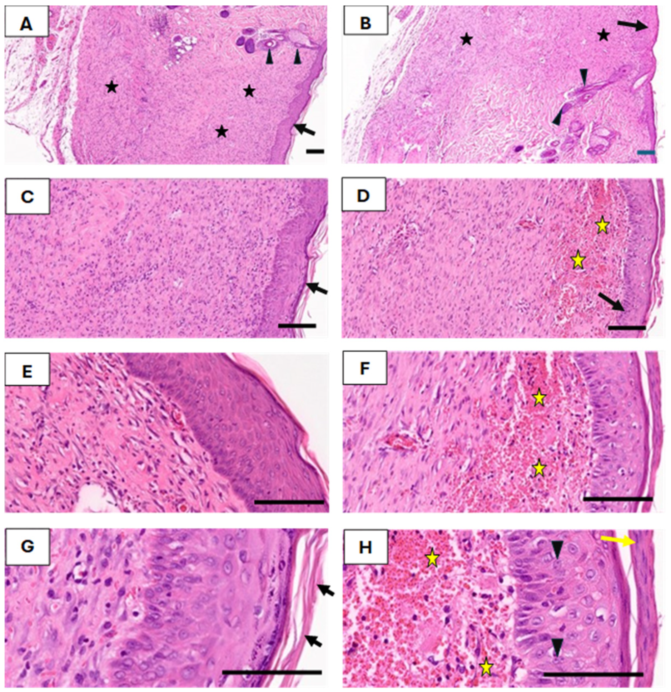 Medicina 61 00965 g005