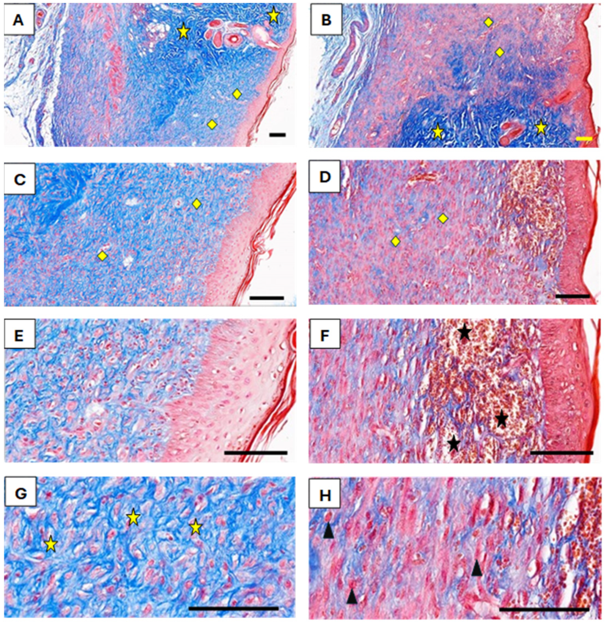Medicina 61 00965 g006