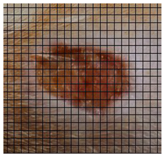 Medicina 61 00965 i003