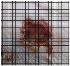 Medicina 61 00965 i004