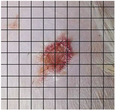 Medicina 61 00965 i008