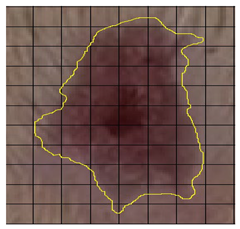 Medicina 61 00965 i009