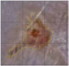 Medicina 61 00965 i010