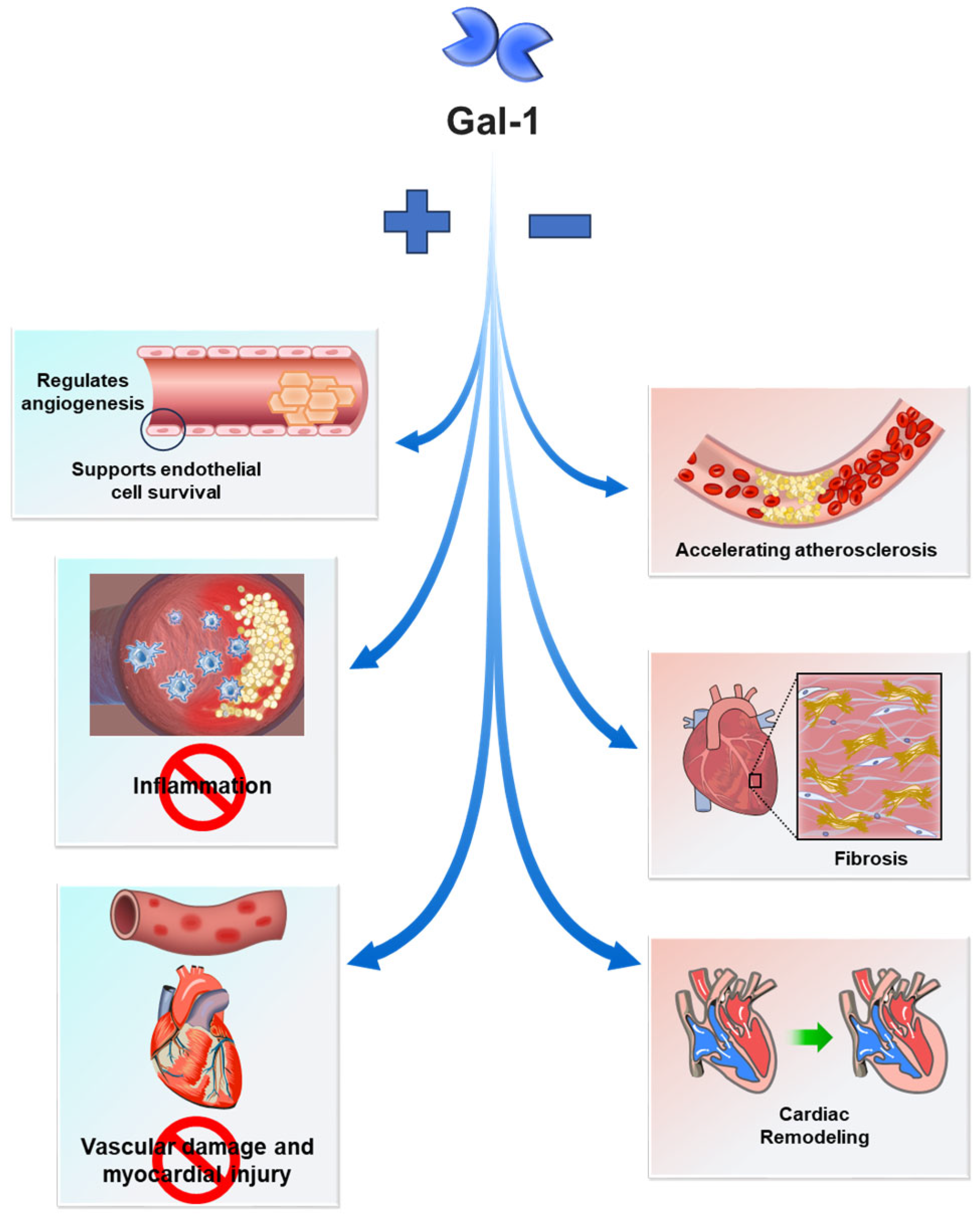 Medicina 61 01020 g001