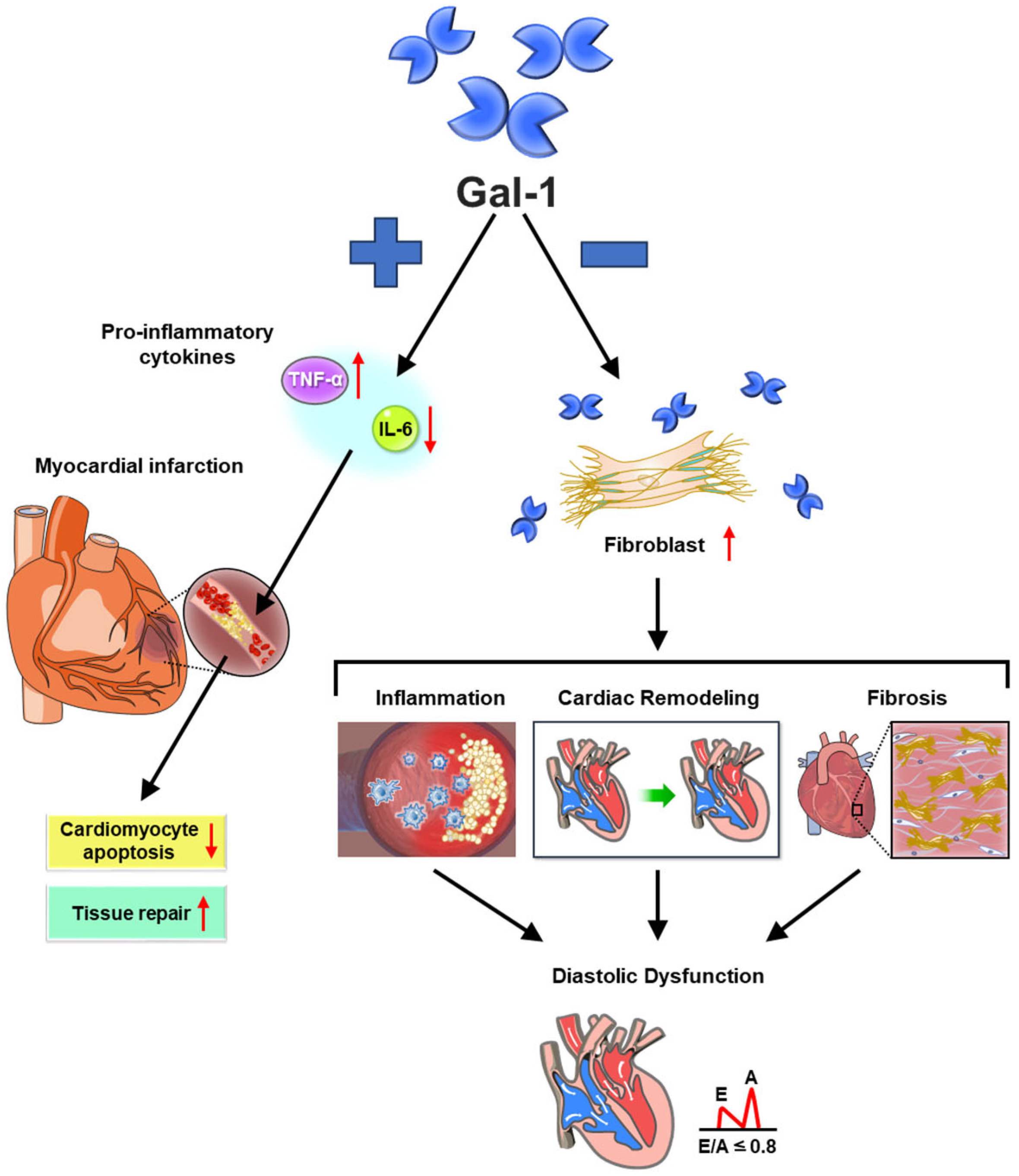 Medicina 61 01020 g004