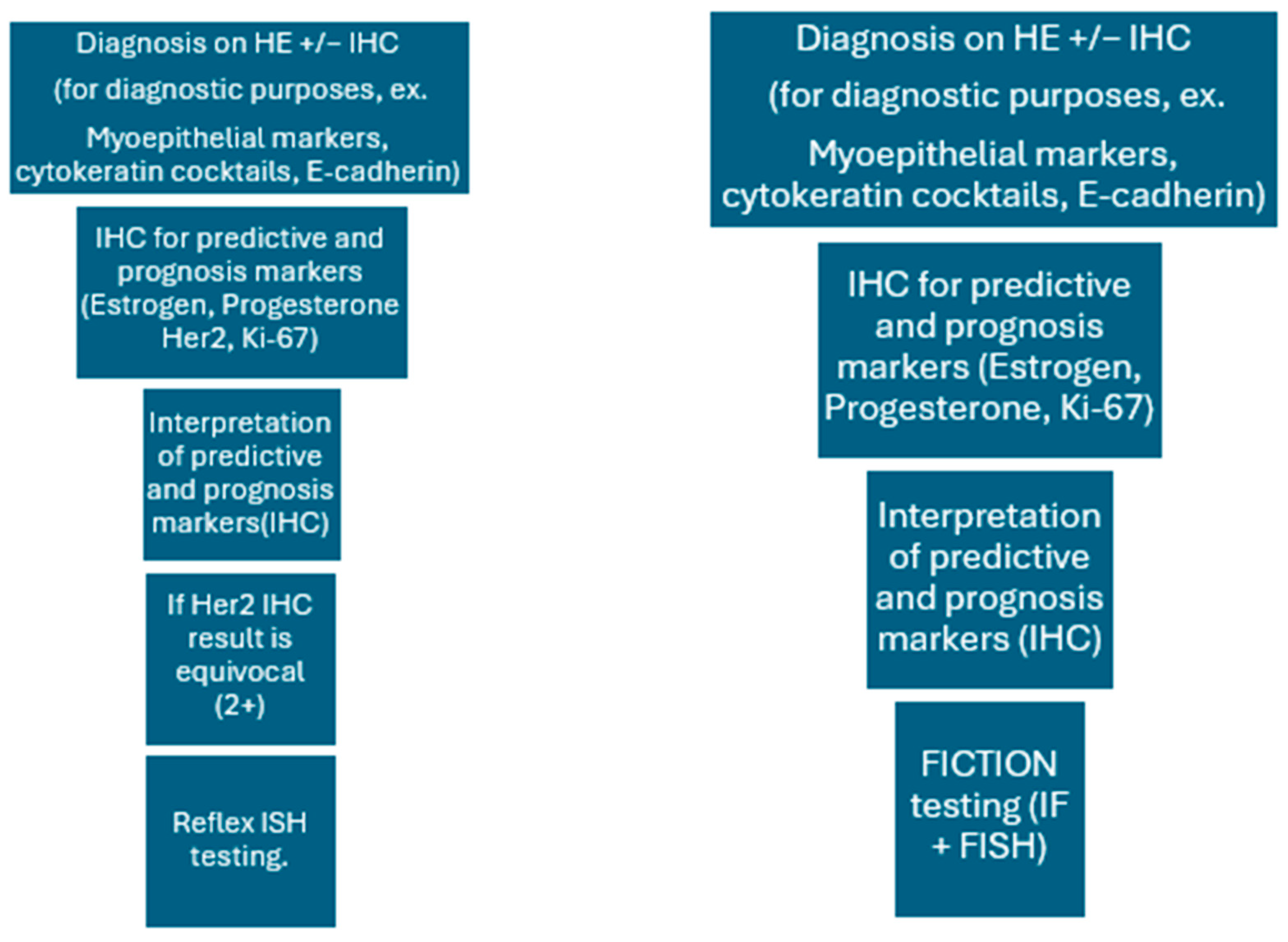 Medicina 61 01069 g001