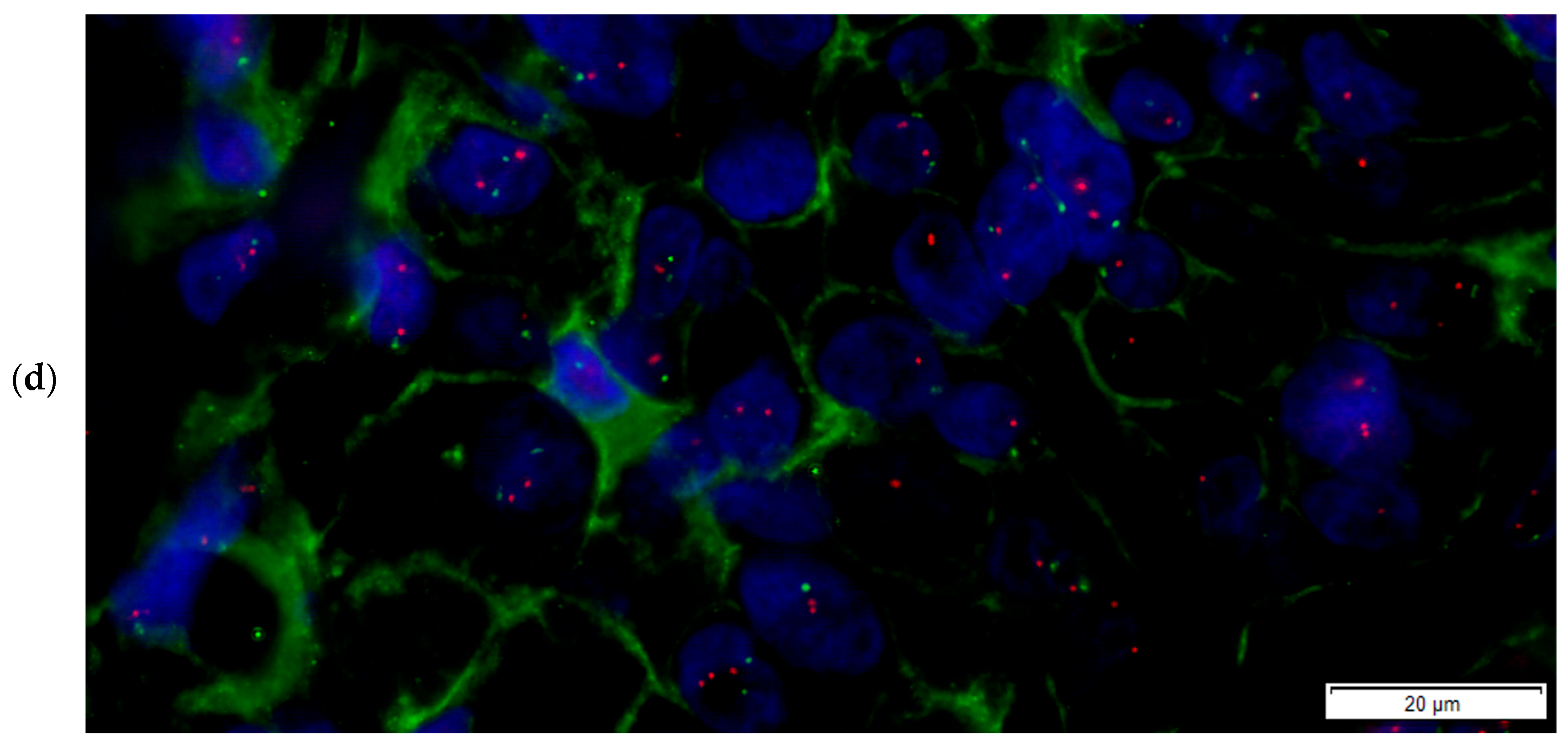 Medicina 61 01069 g007b