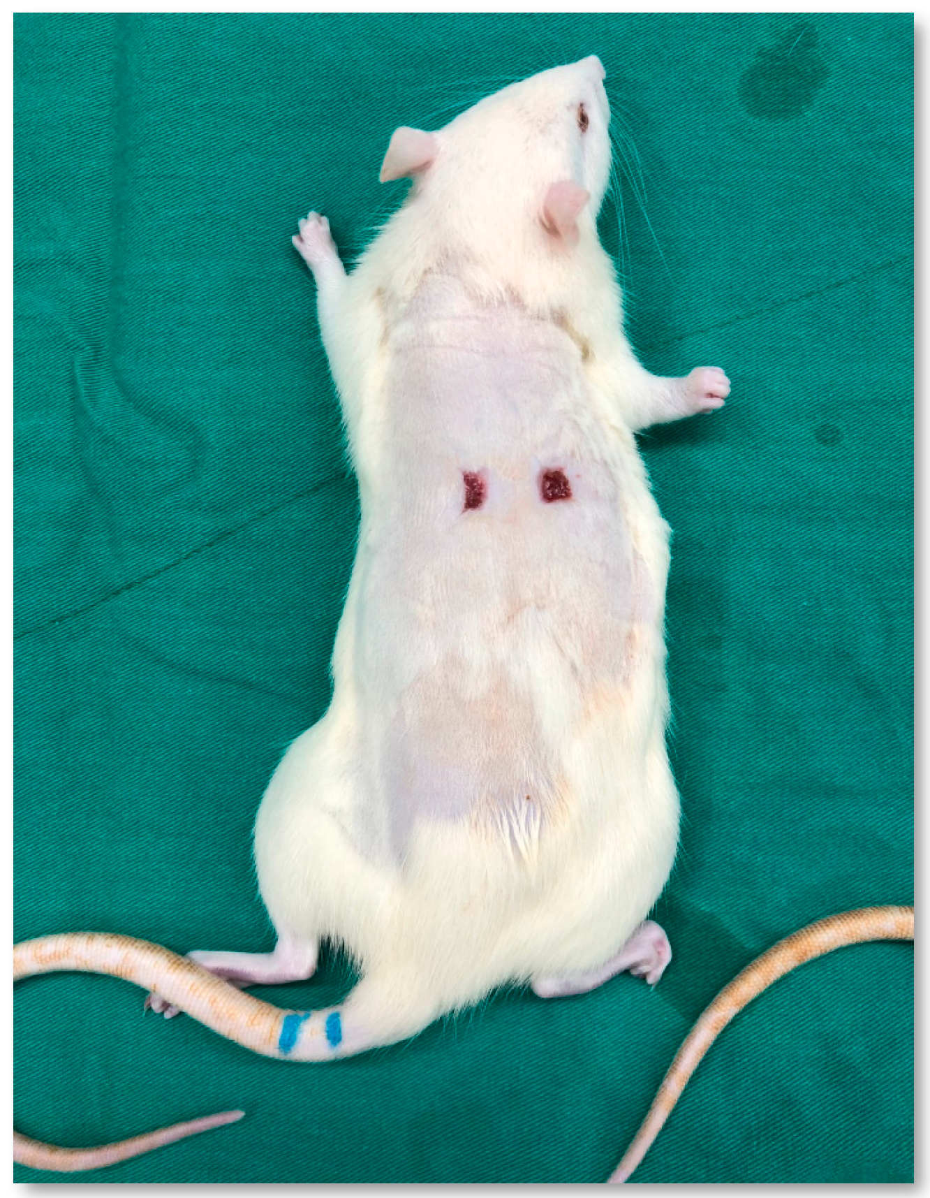 Medicina 61 01098 g001