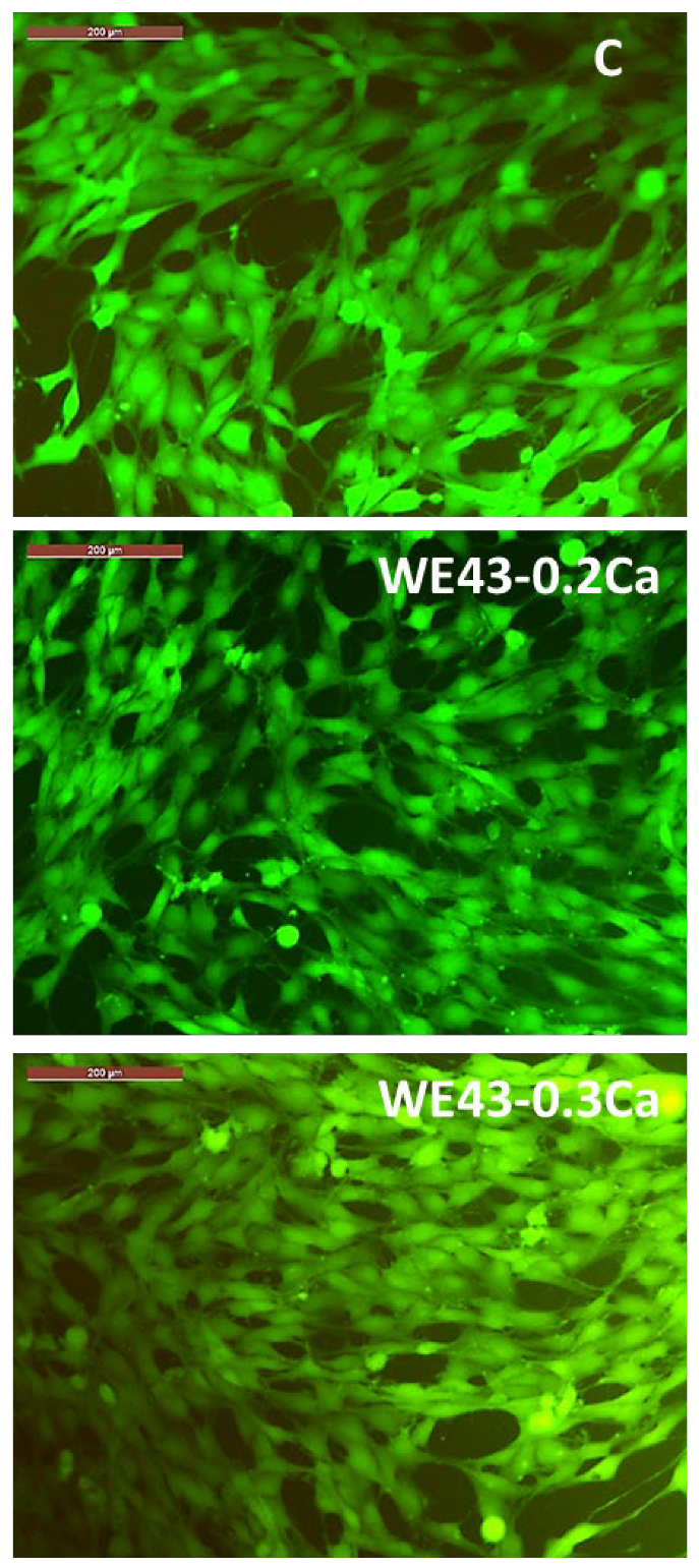 Medicina 61 01271 g010