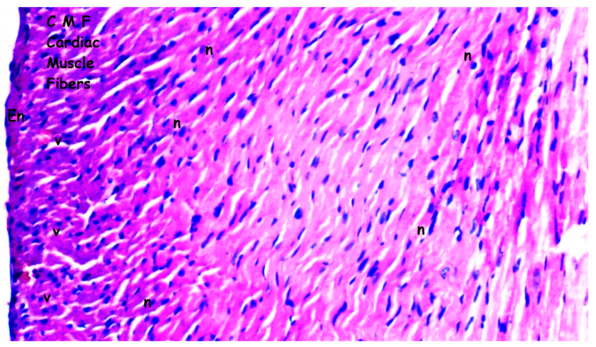 Medicina 61 01298 g002