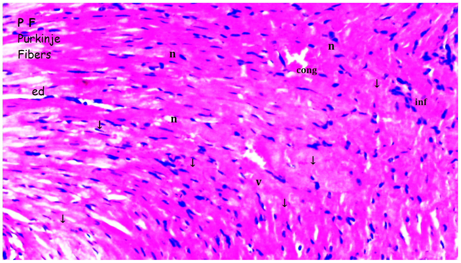 Medicina 61 01298 g004