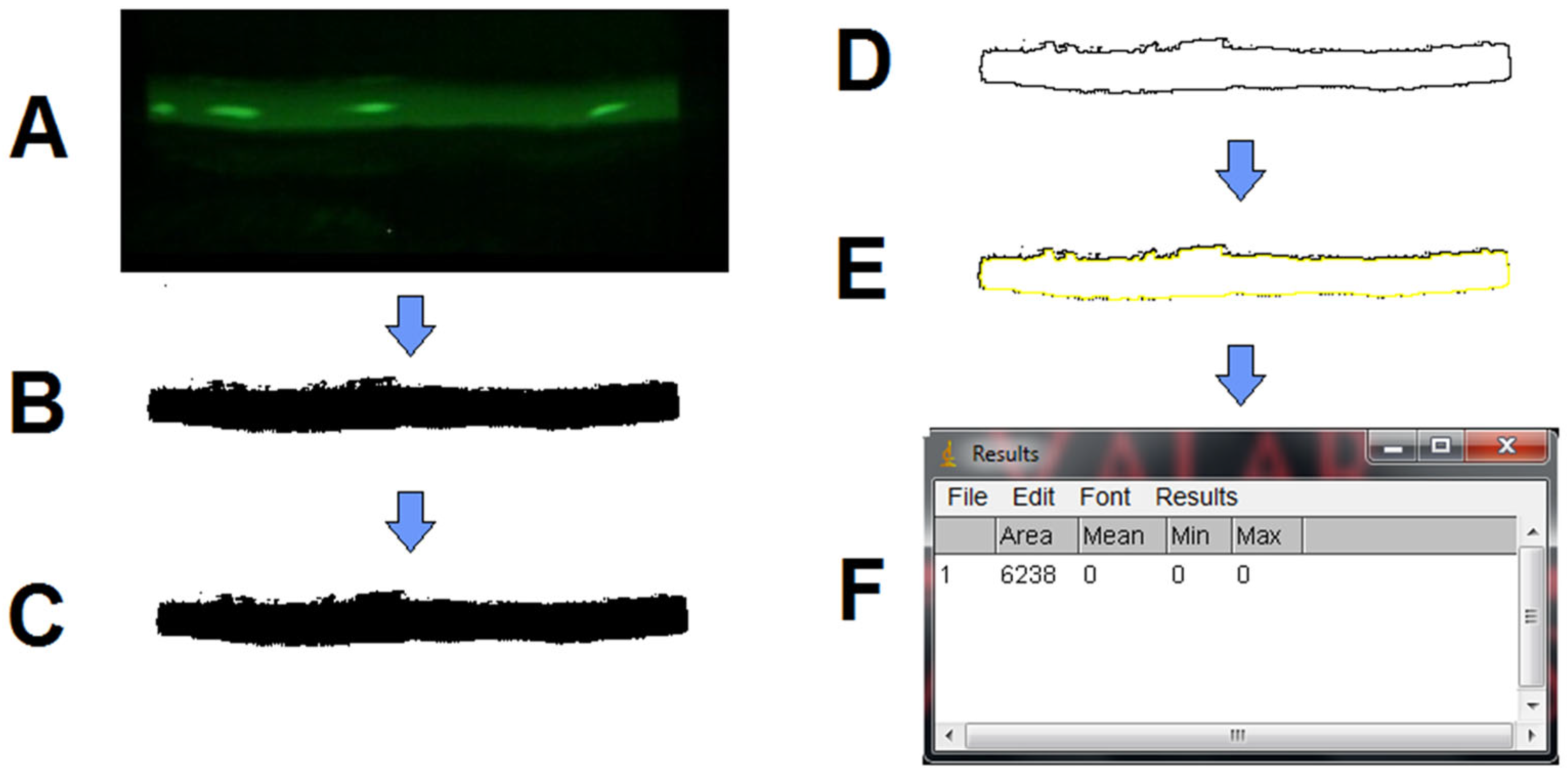 Medicina 61 01322 g001