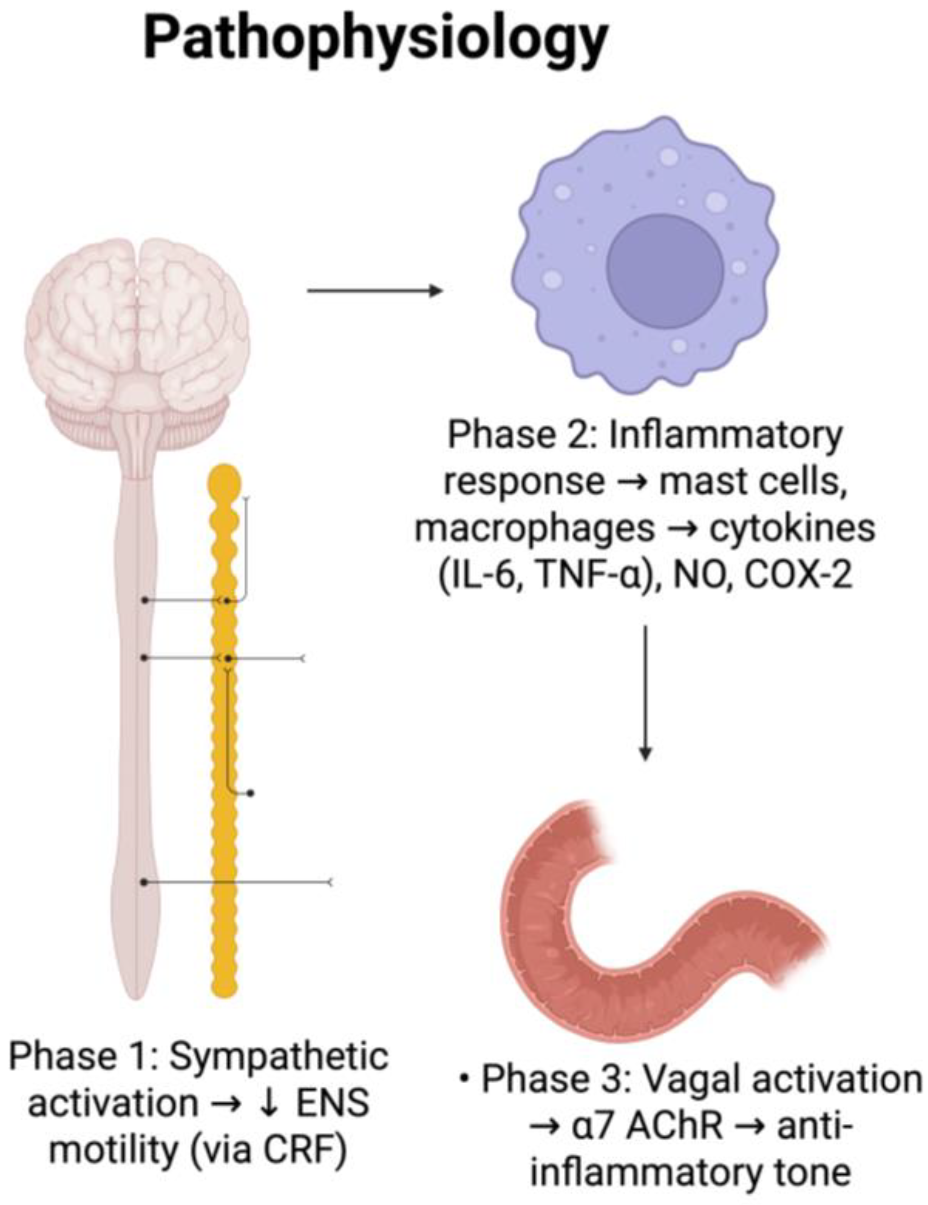 Medicina 61 01344 g001