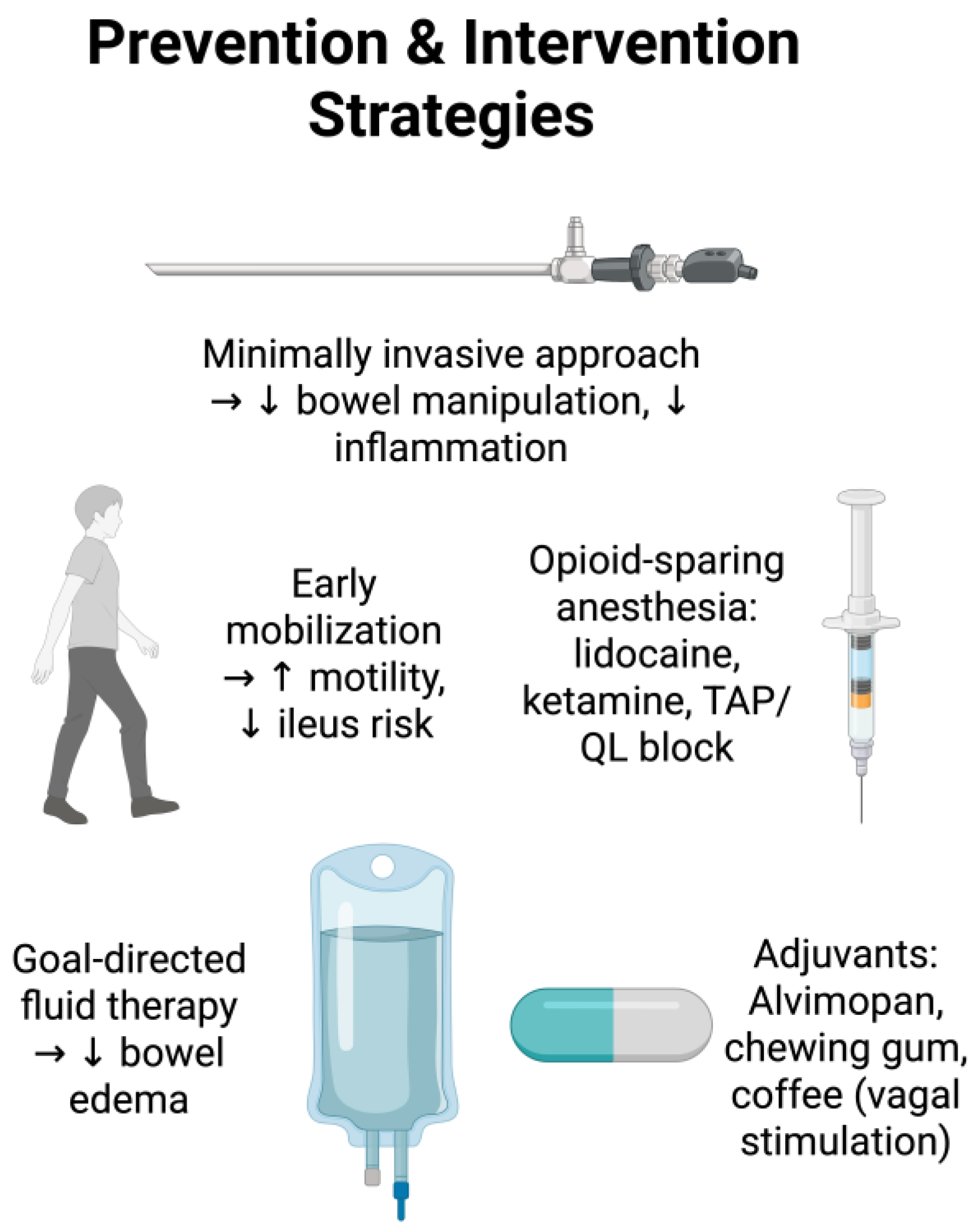 Medicina 61 01344 g003