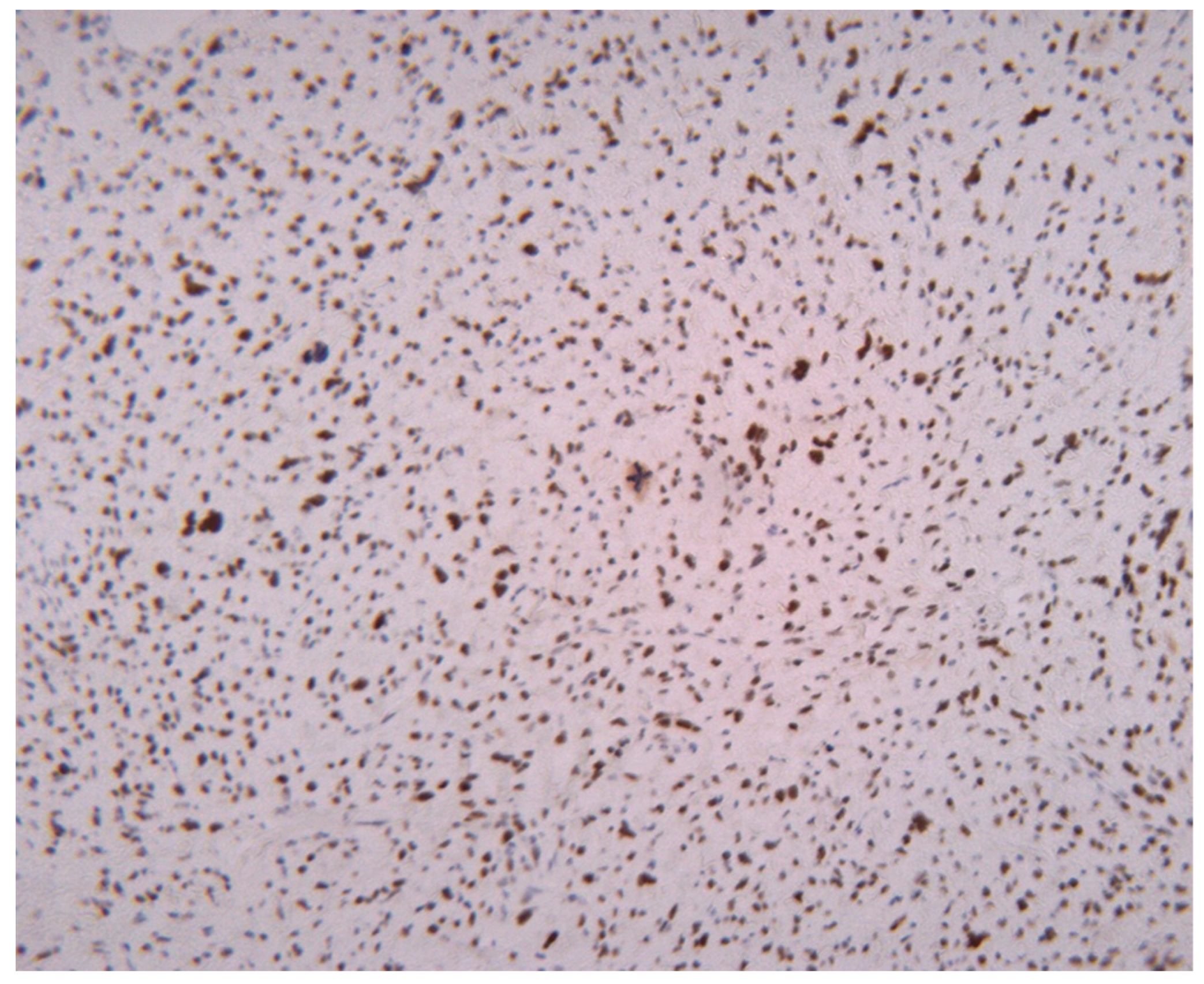 Medicina 61 01431 g006