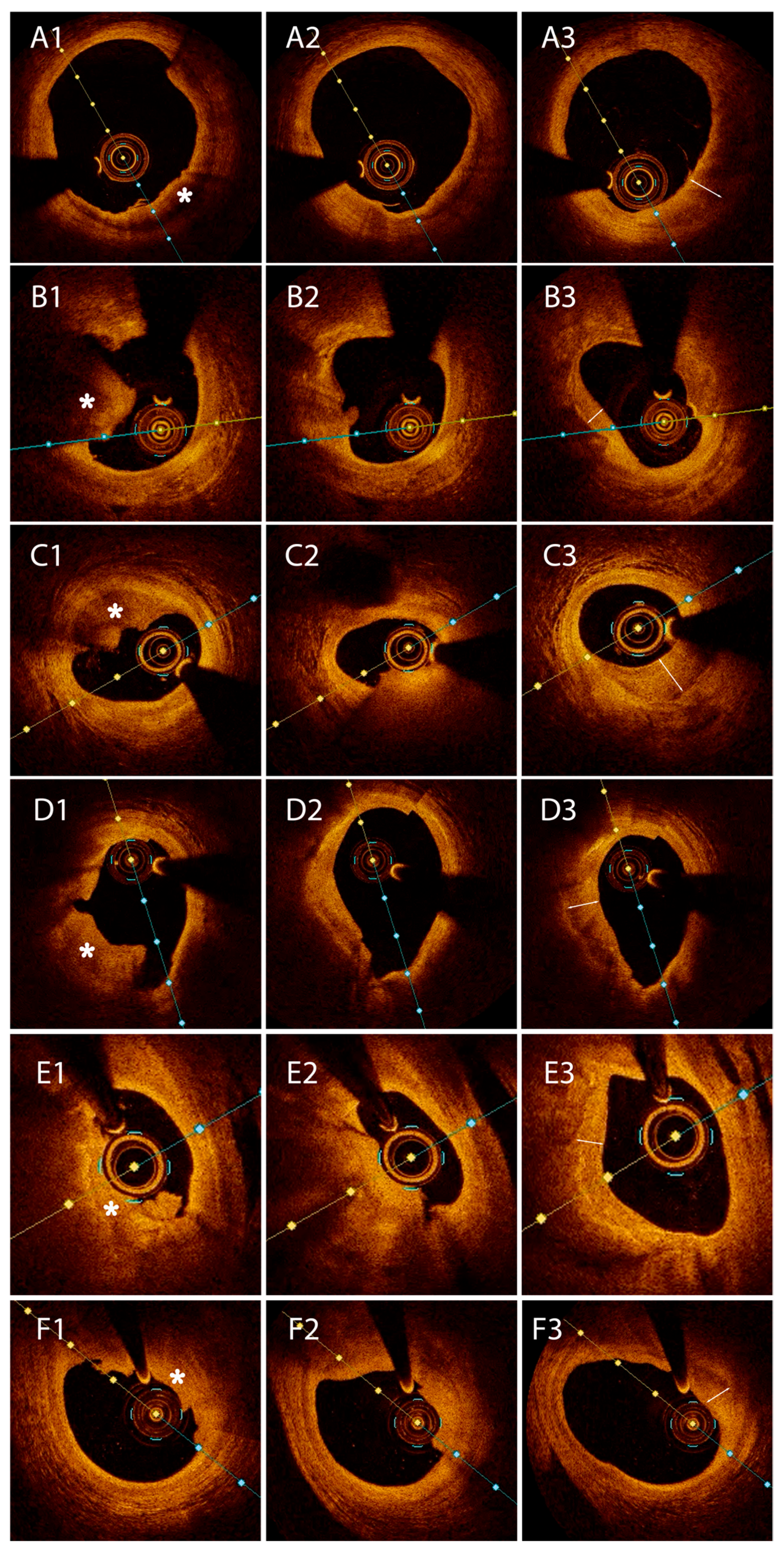 Medicina 61 01440 g004 Medicina 61 01440 g004