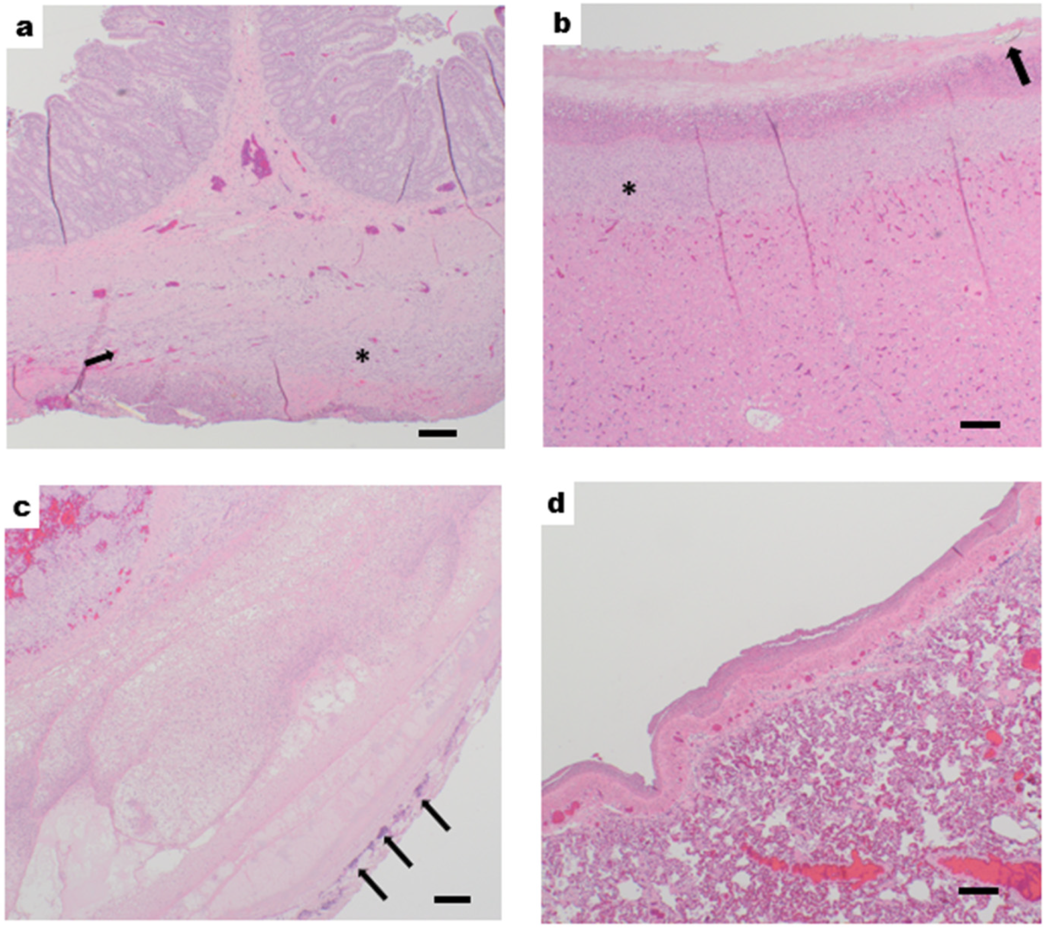 Medicina 61 01523 g003